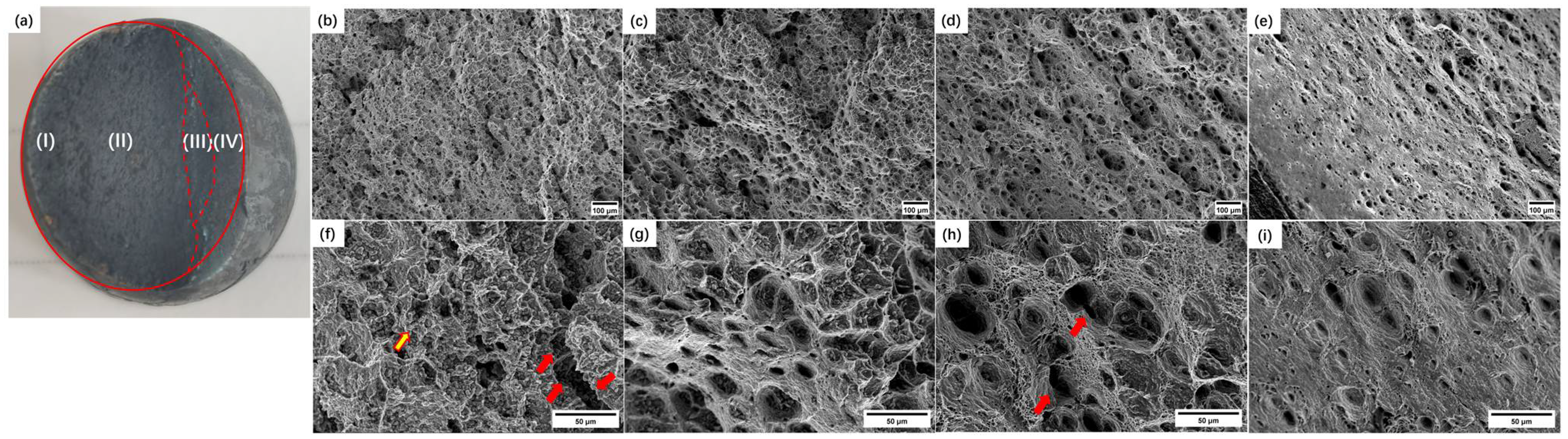 Materials 17 02789 g006