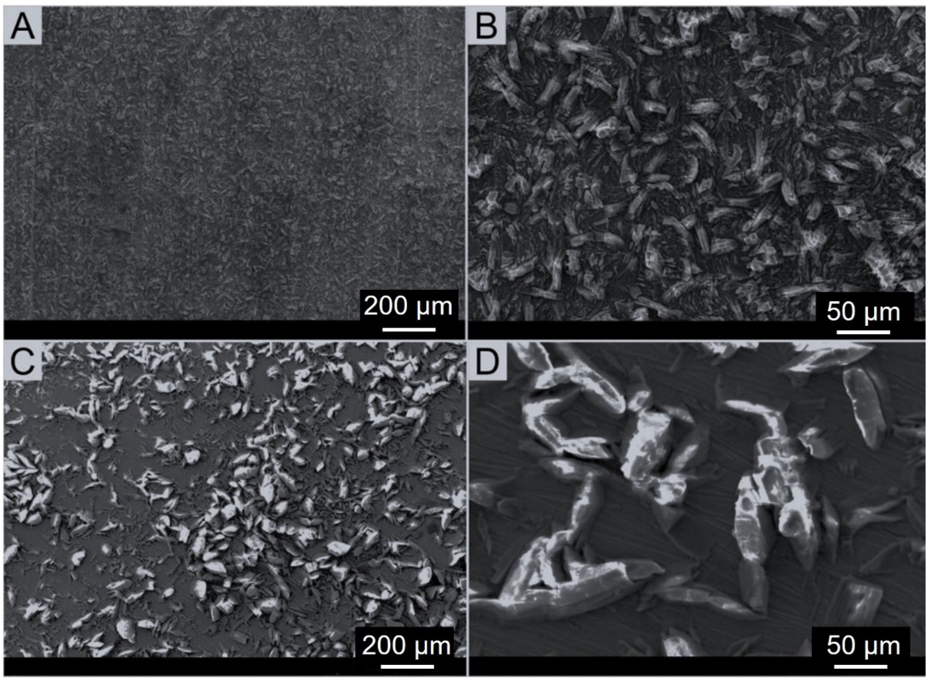 Materials 17 02805 g006