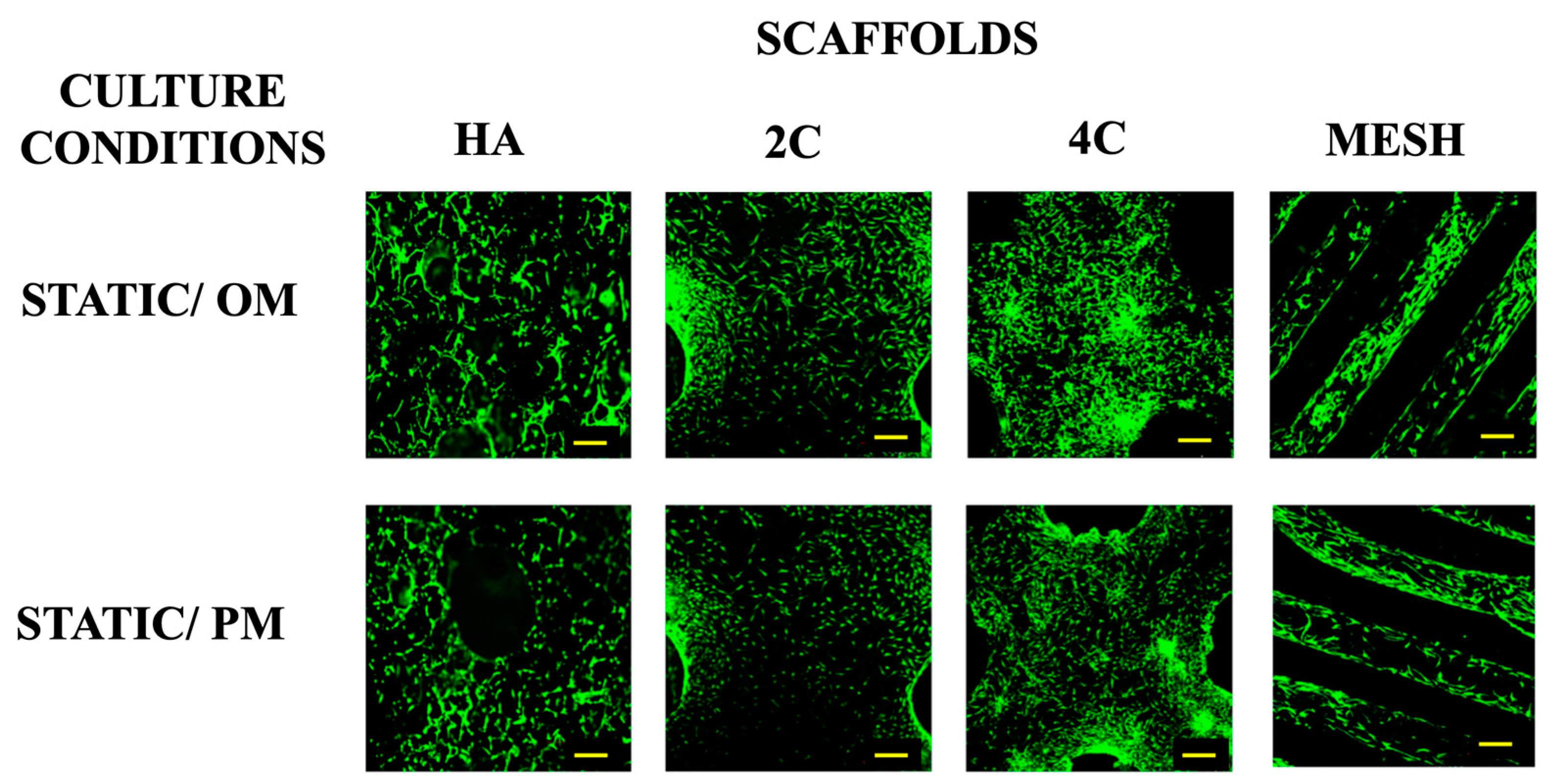 Materials 17 02811 g001