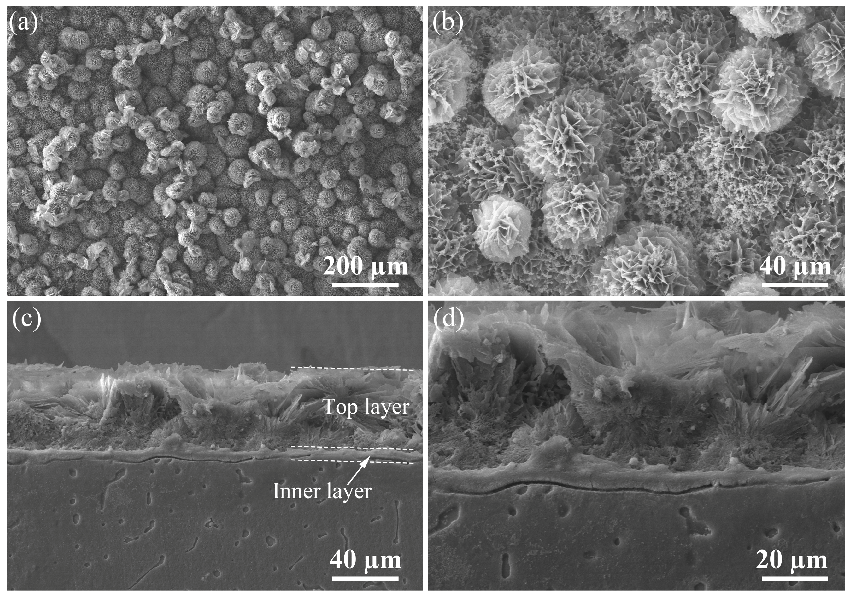 Materials 17 02815 g001