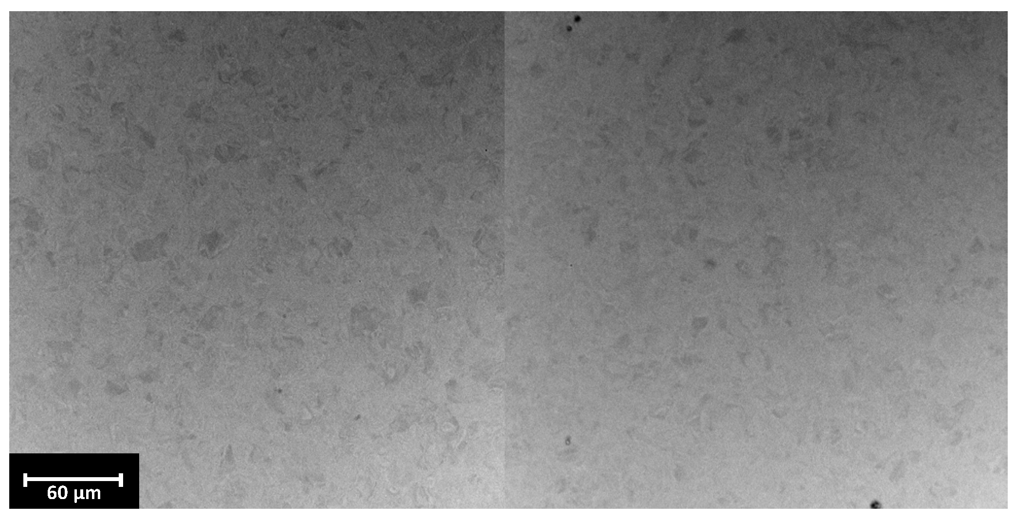 Materials 17 02832 g002