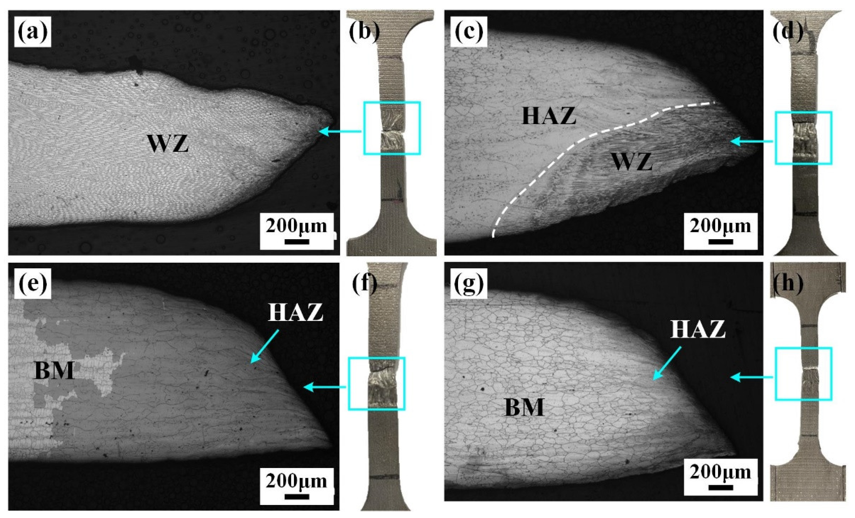 Materials 17 02857 g011
