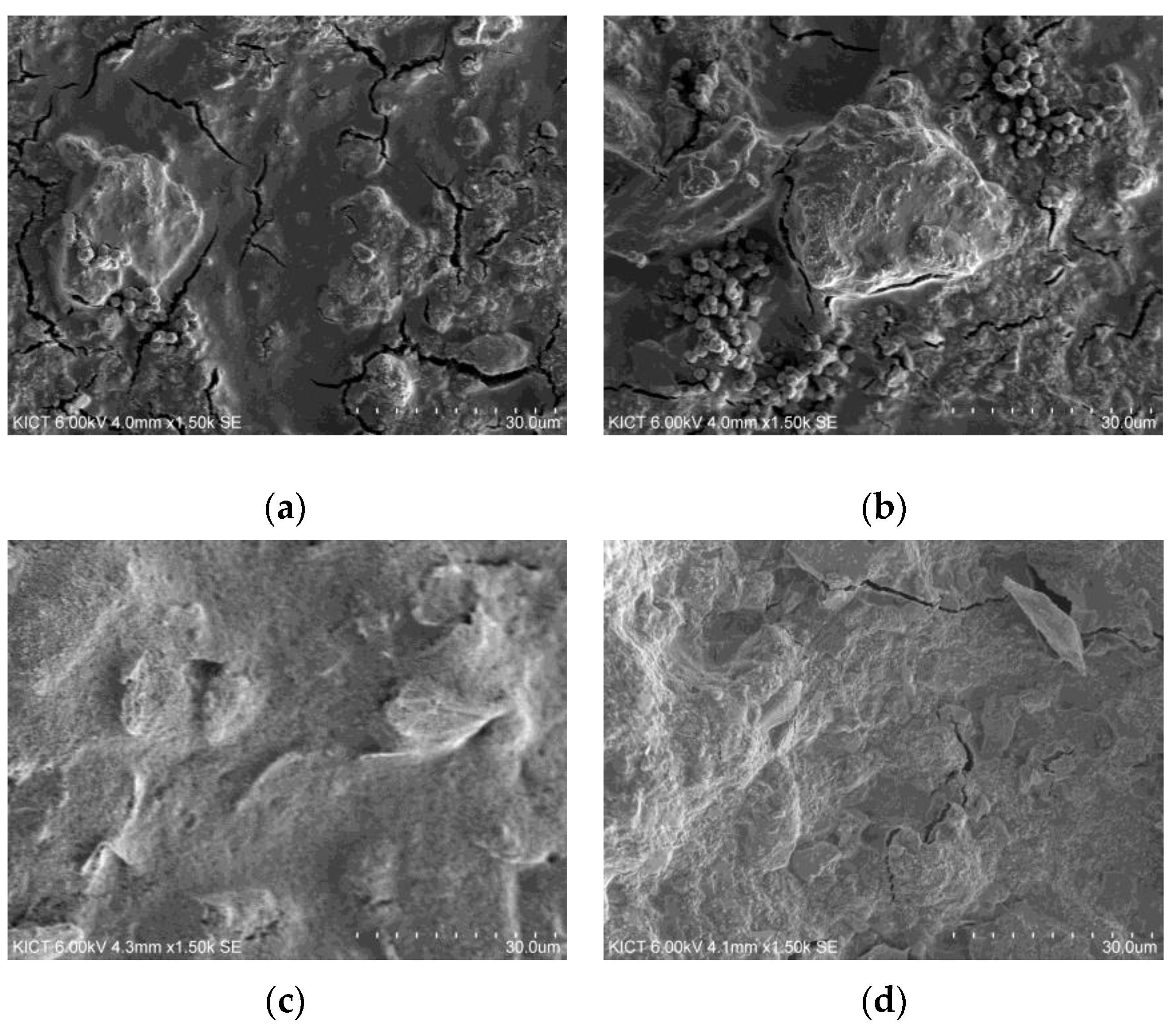 Materials 17 02863 g007