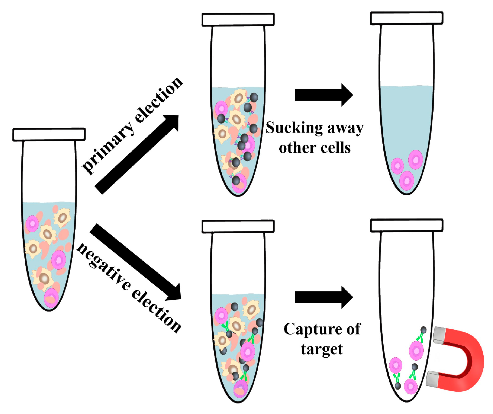 Materials 17 02870 g005