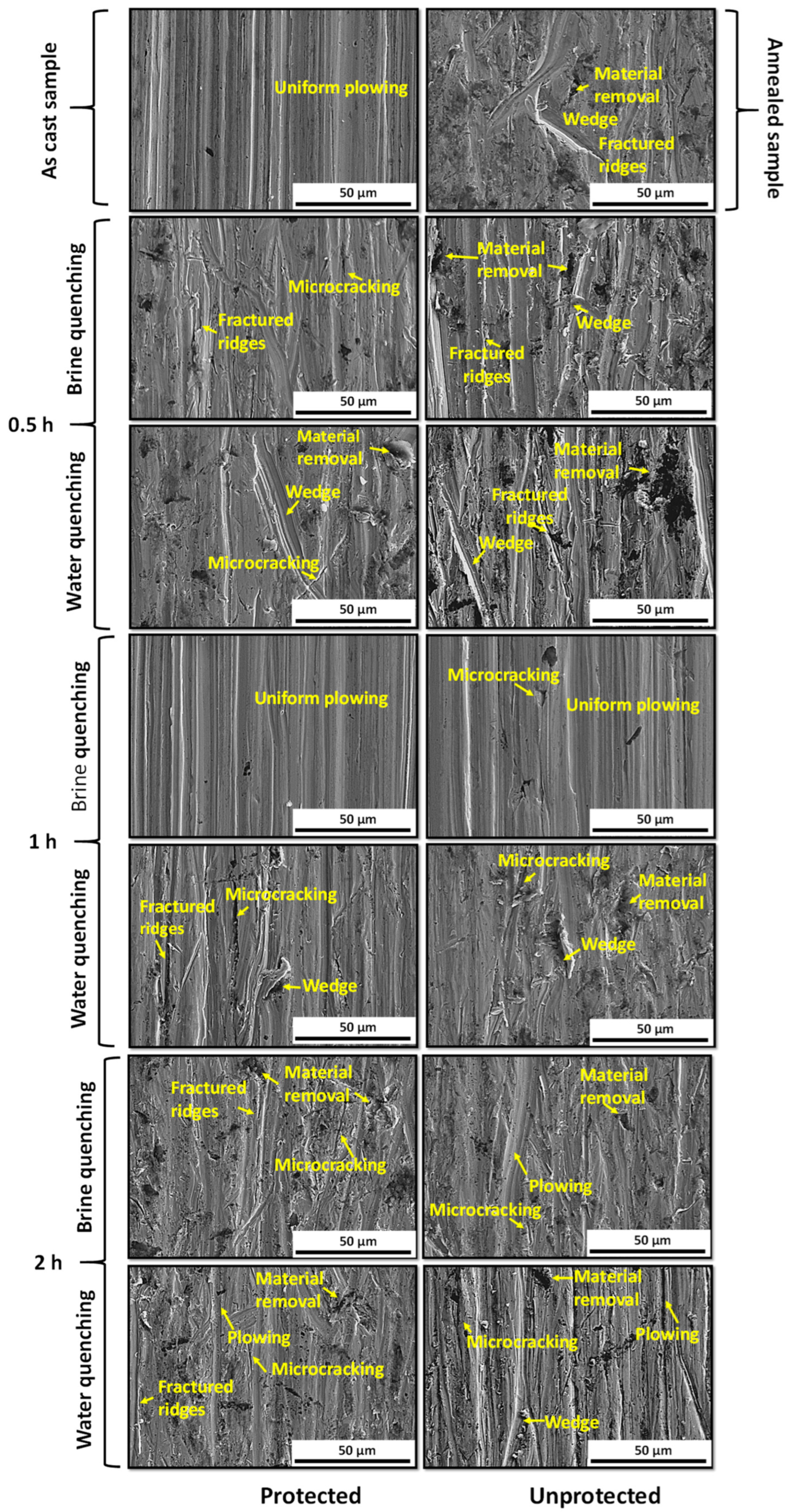 Materials 17 02884 g009