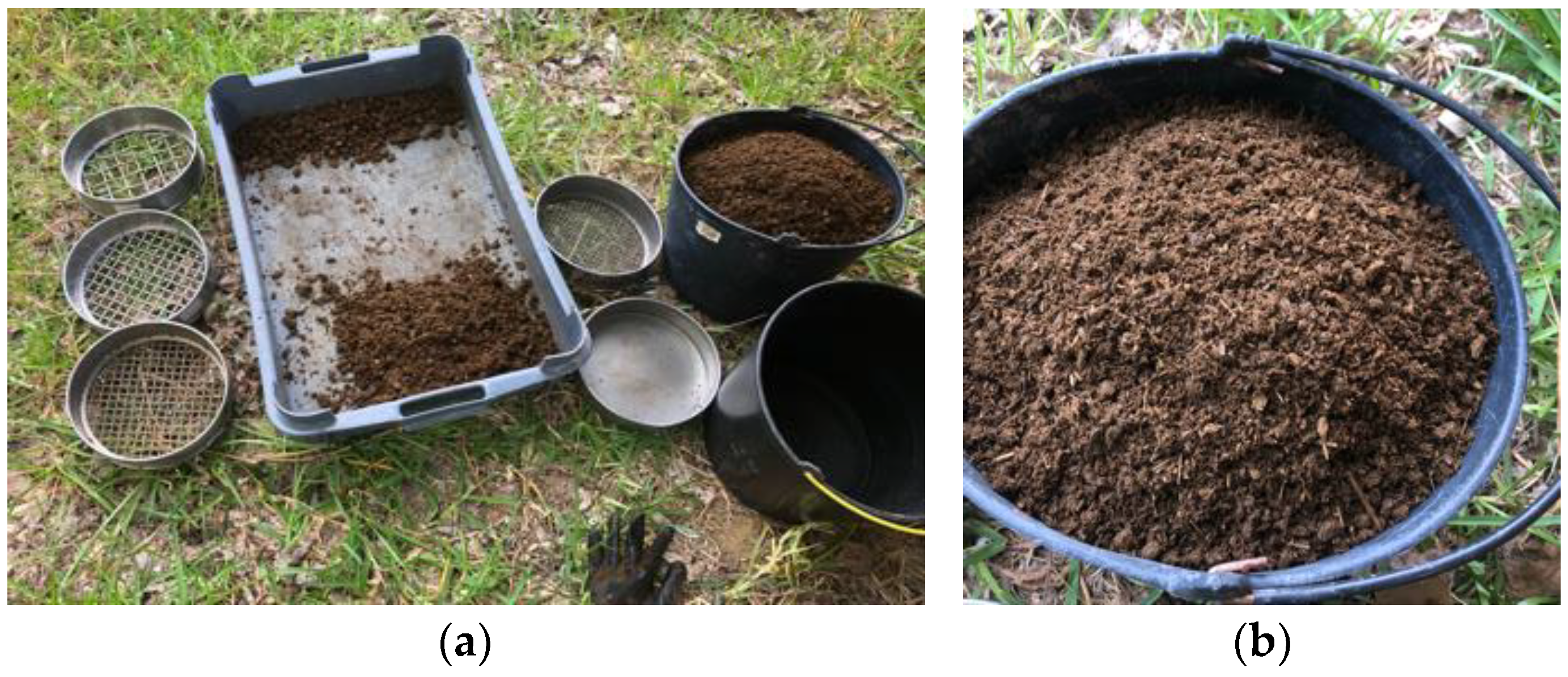 Materials 17 02885 g003