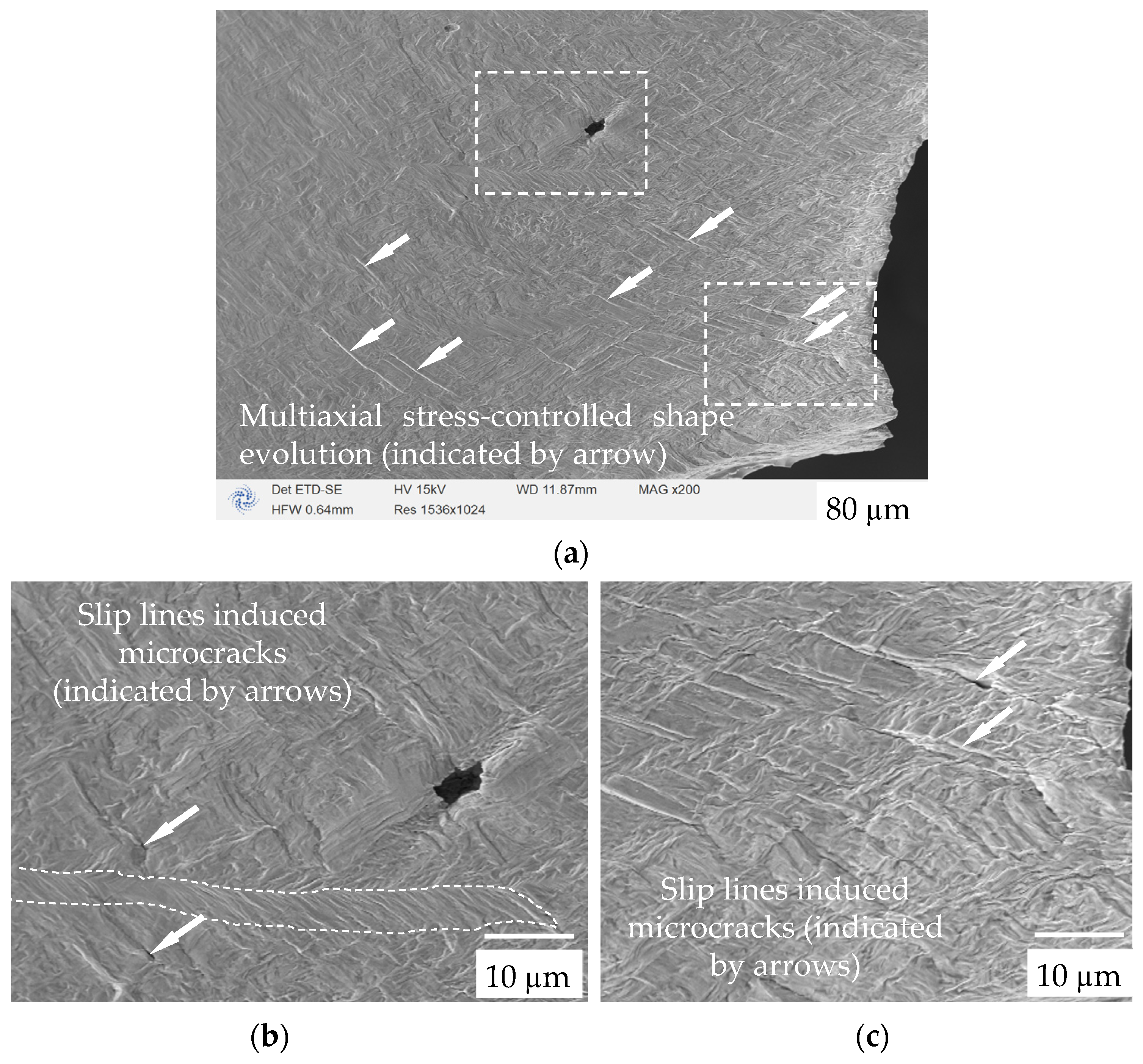 Materials 17 02888 g007