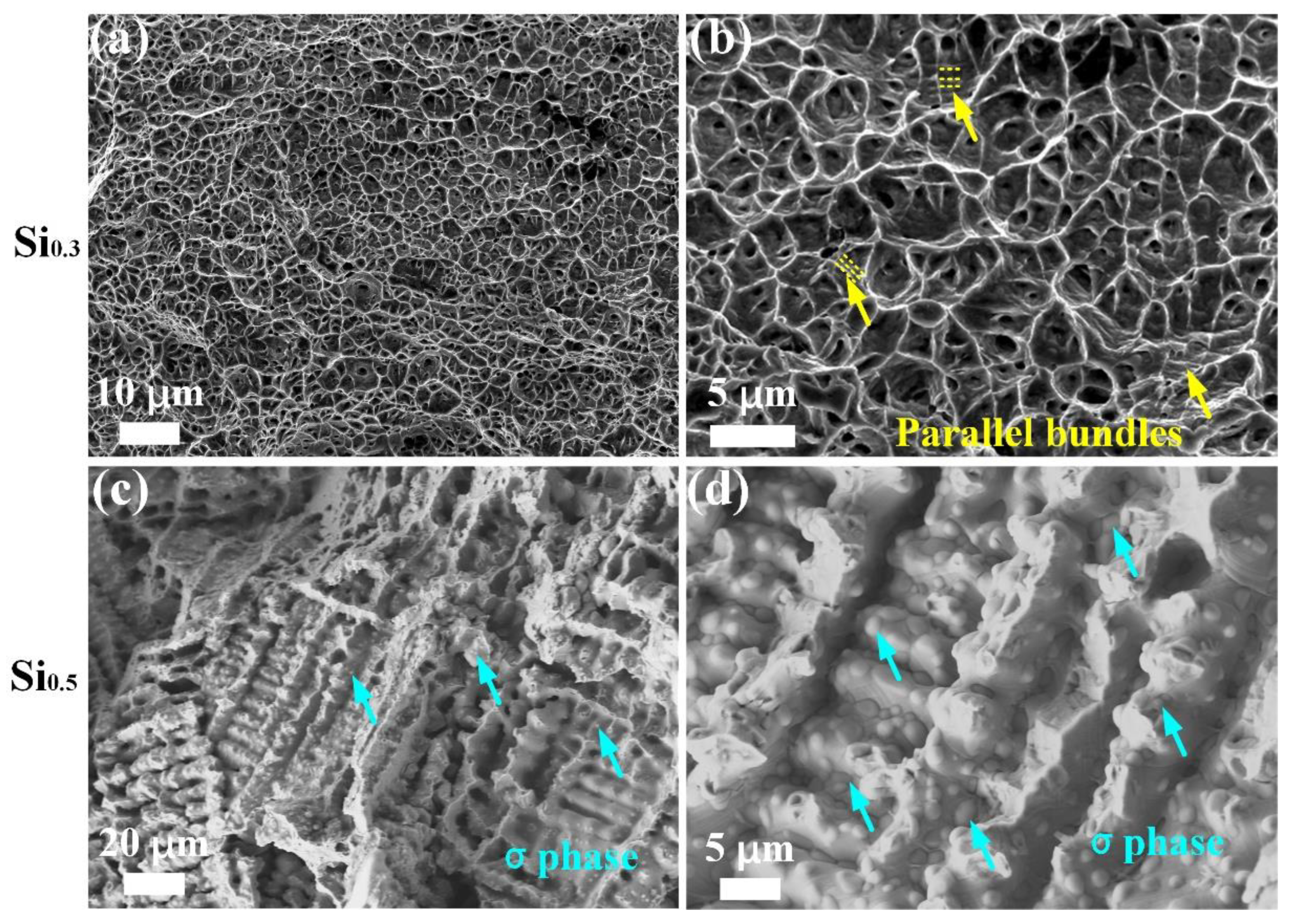 Materials 17 02893 g005