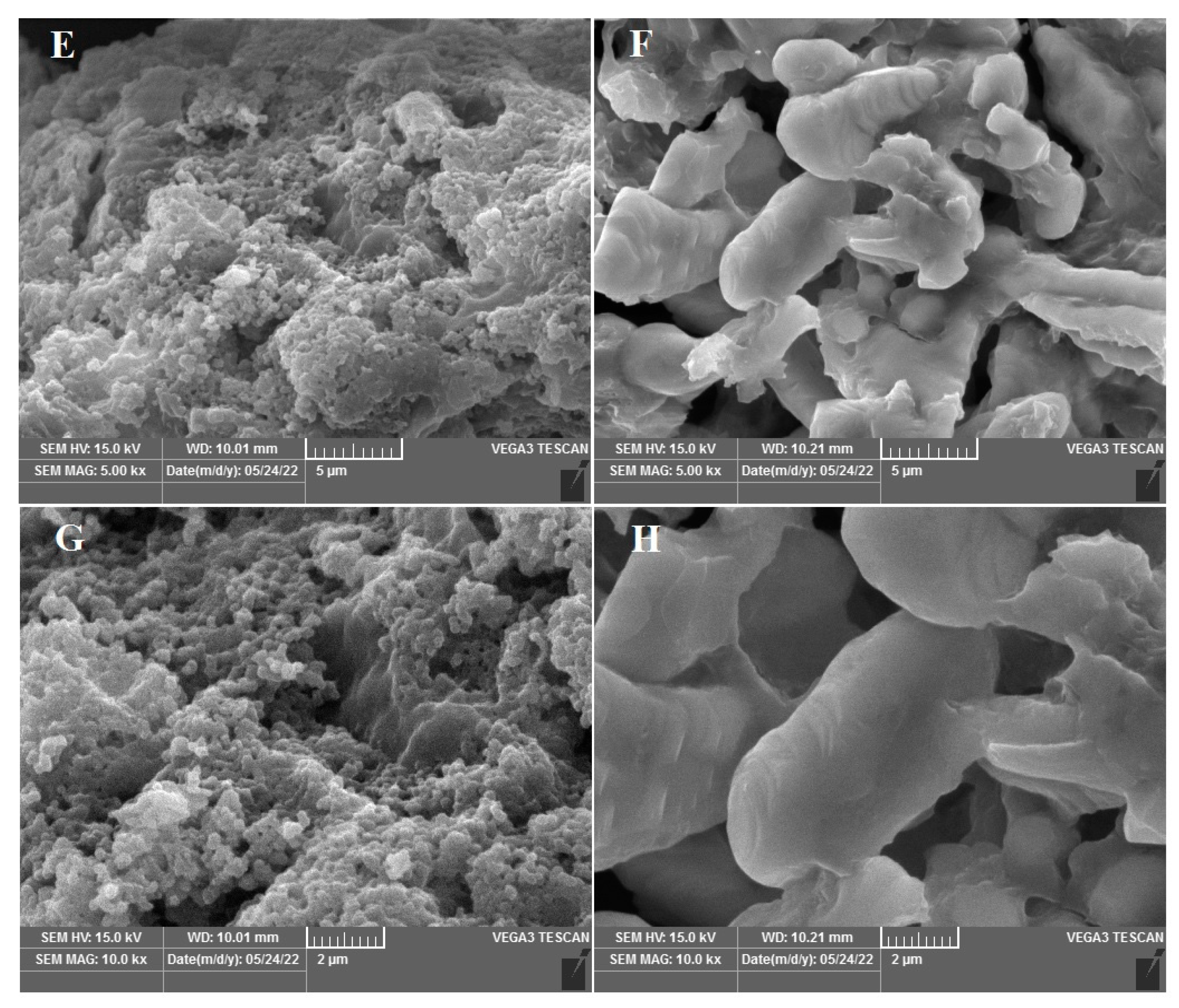 Materials 17 02901 g005b