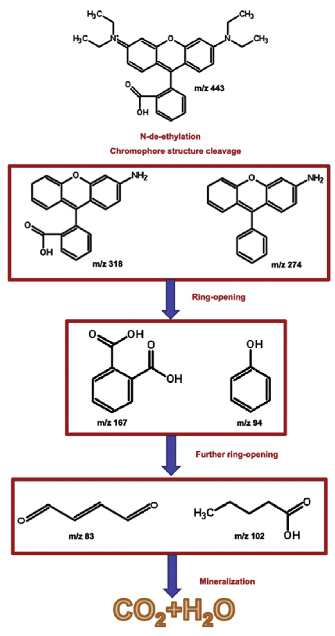 Materials 17 02922 g007