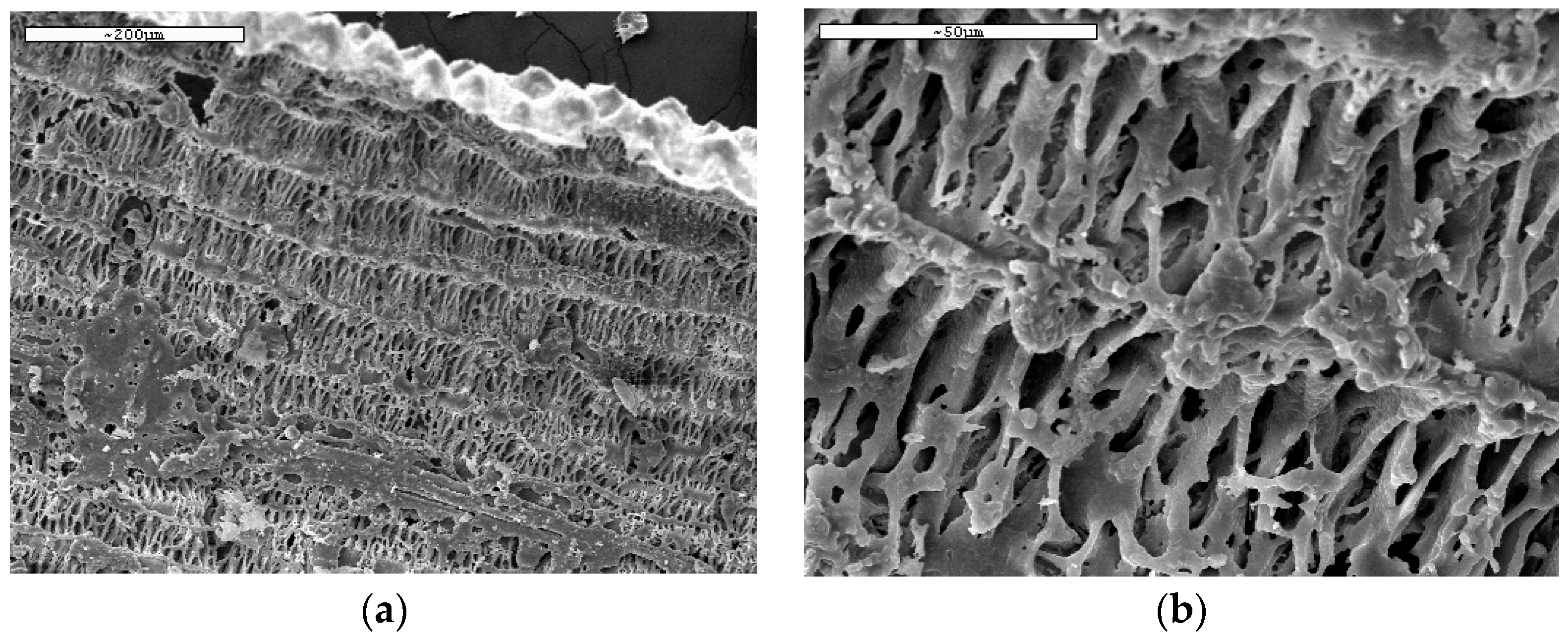 Materials 17 02923 g0a3