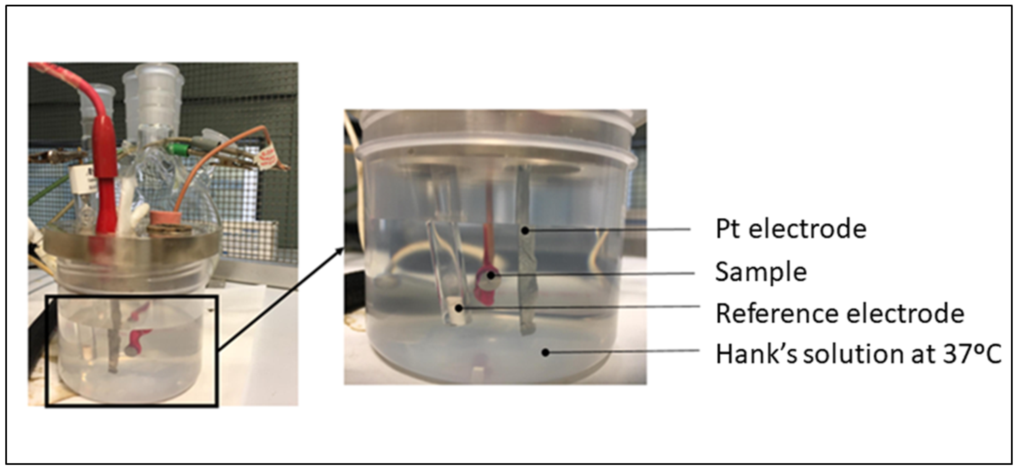 Materials 17 02944 g005