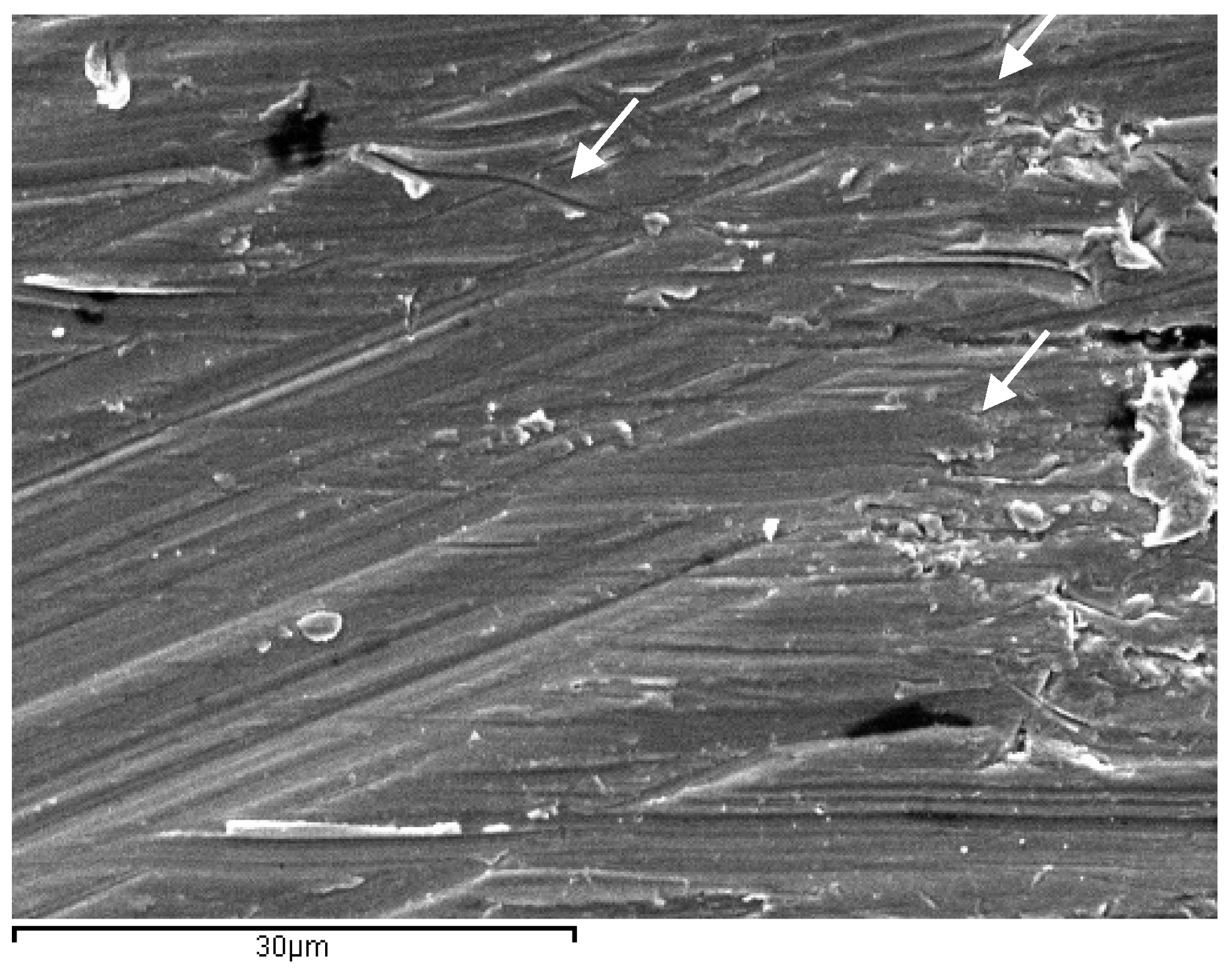 Materials 17 02944 g006