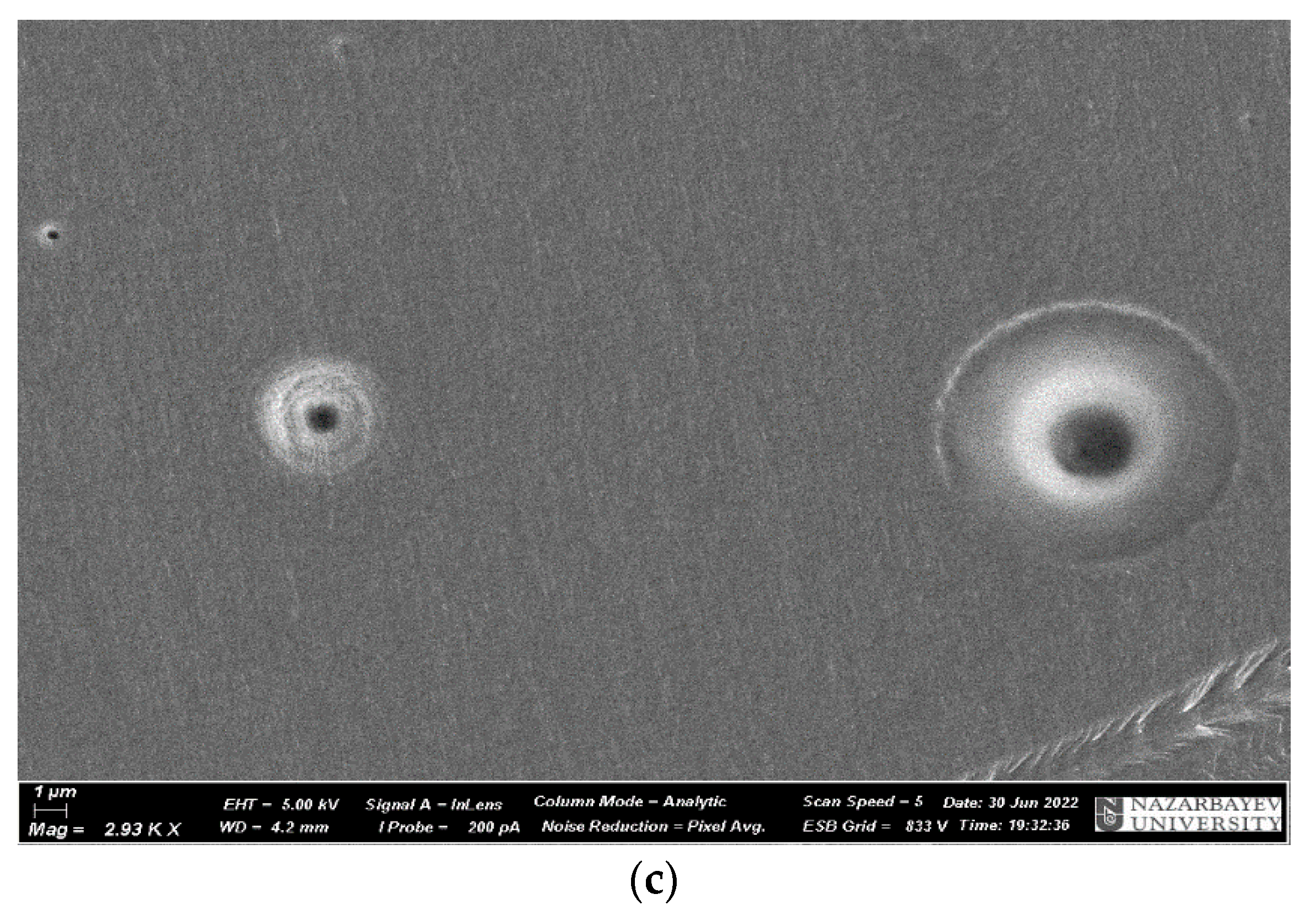 Materials 17 02959 g010b