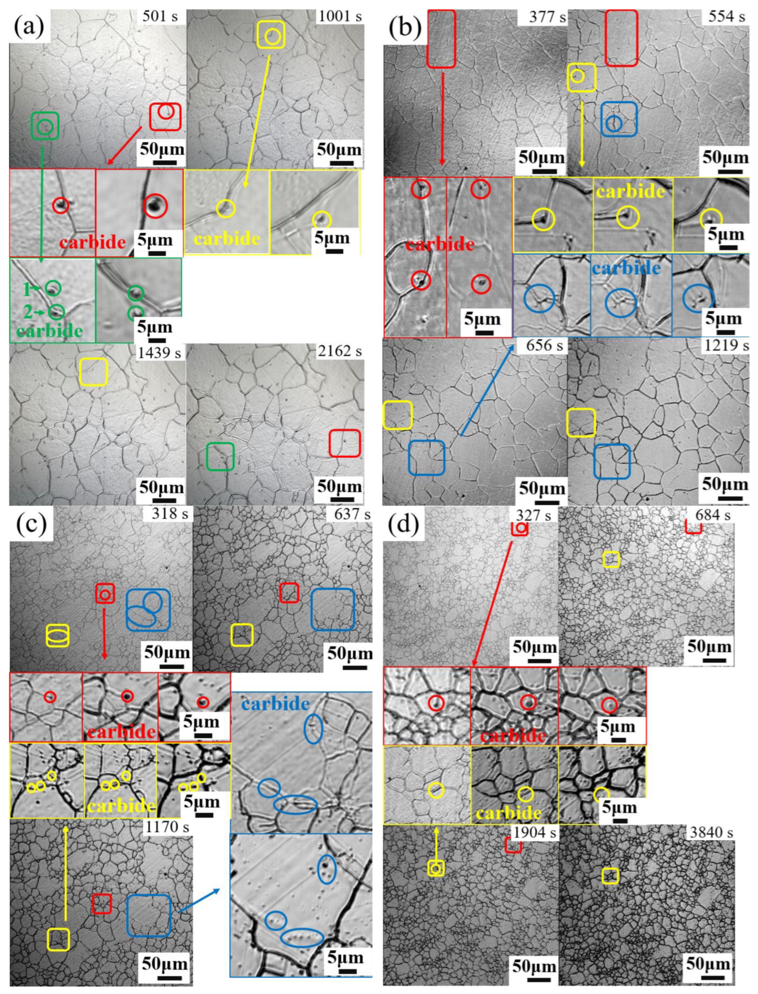 Materials 17 02962 g007