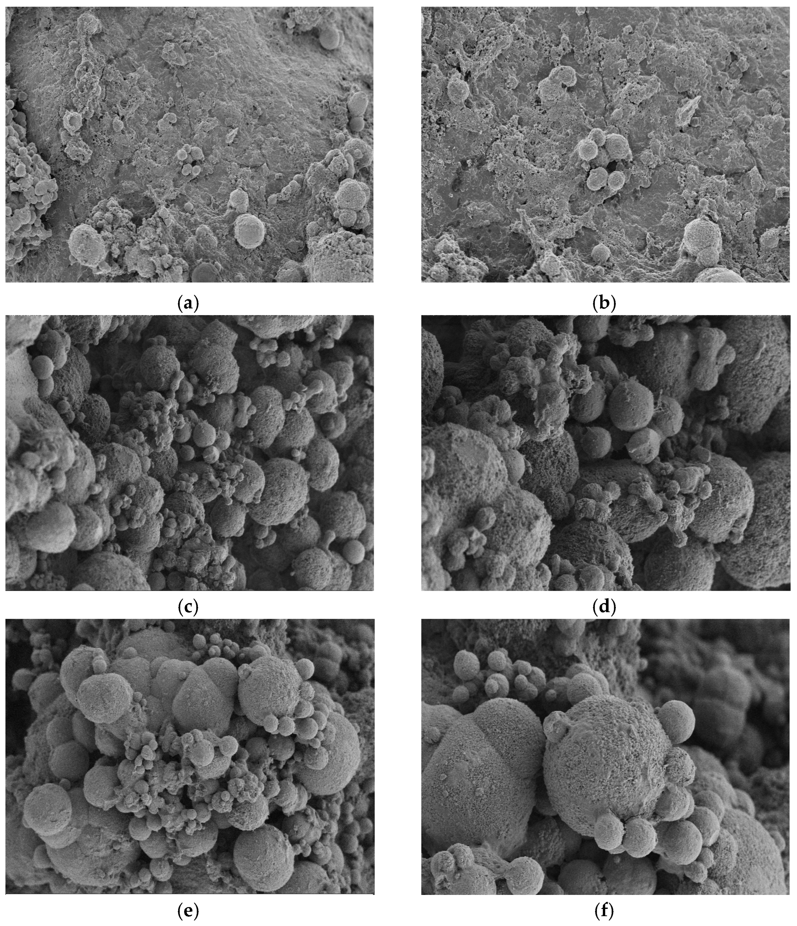 Materials 17 02978 g011