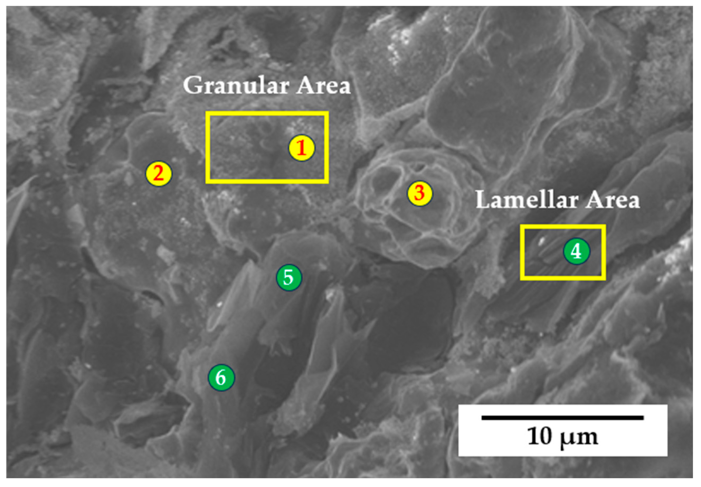 Materials 17 02980 g008
