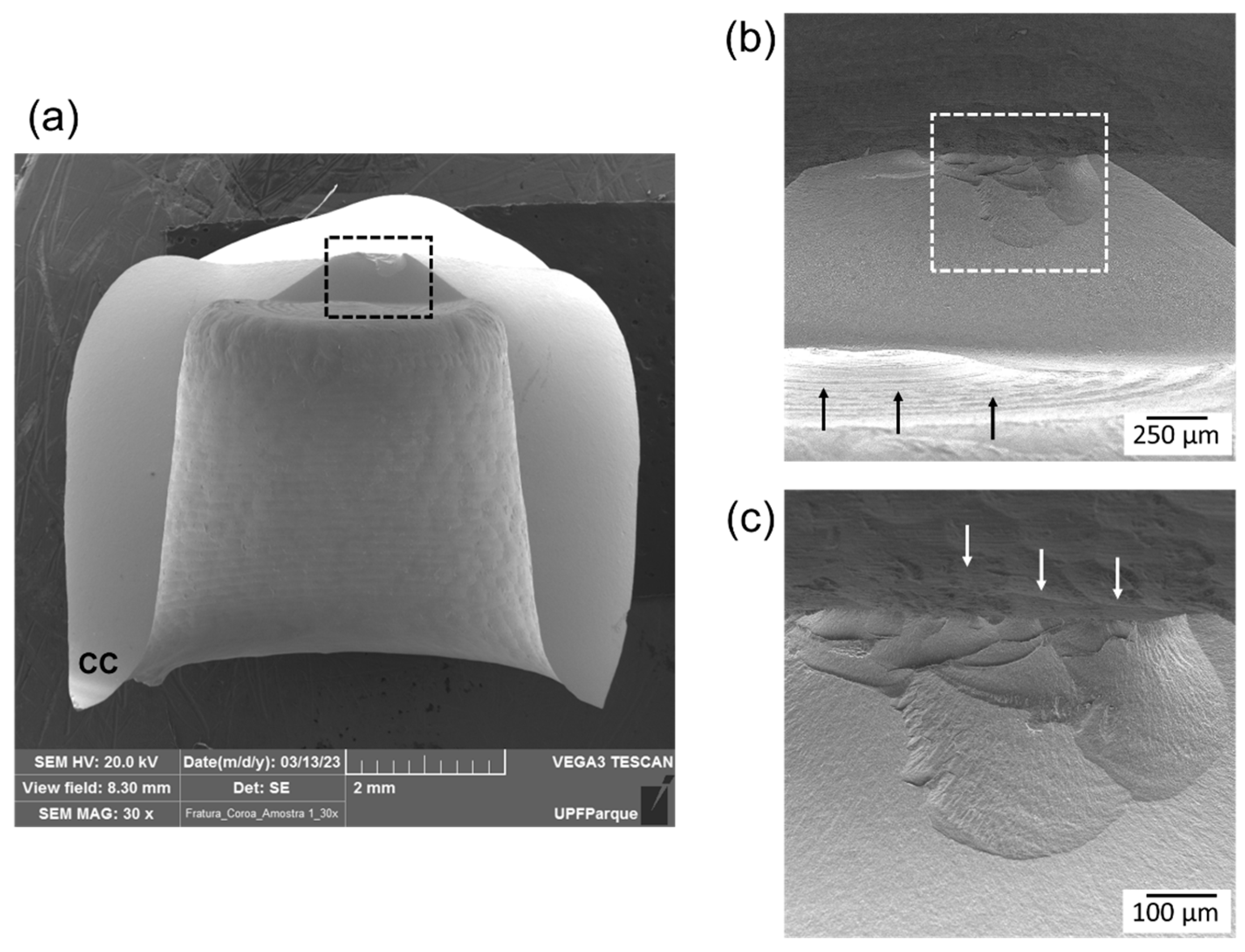 Materials 17 02981 g006