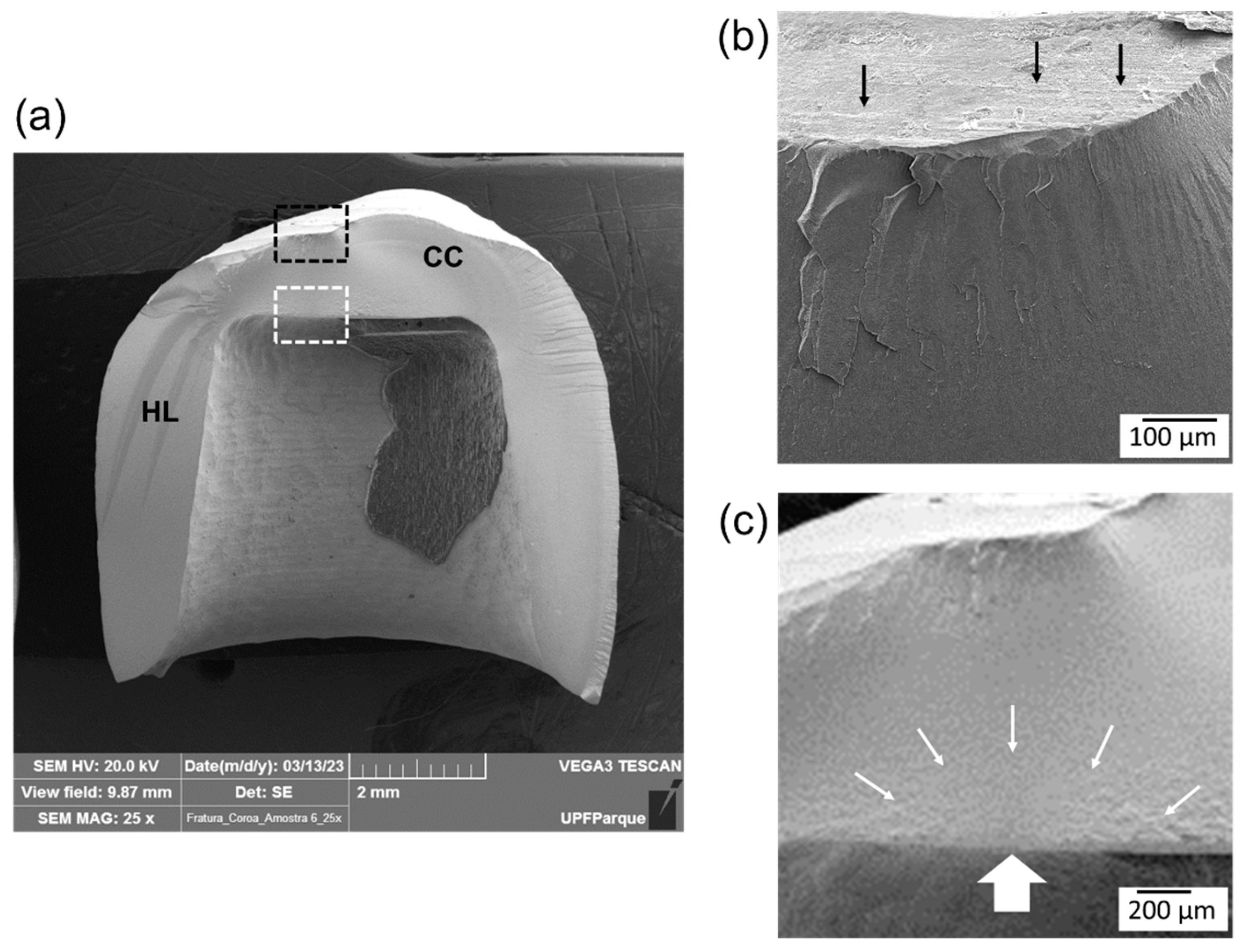 Materials 17 02981 g007