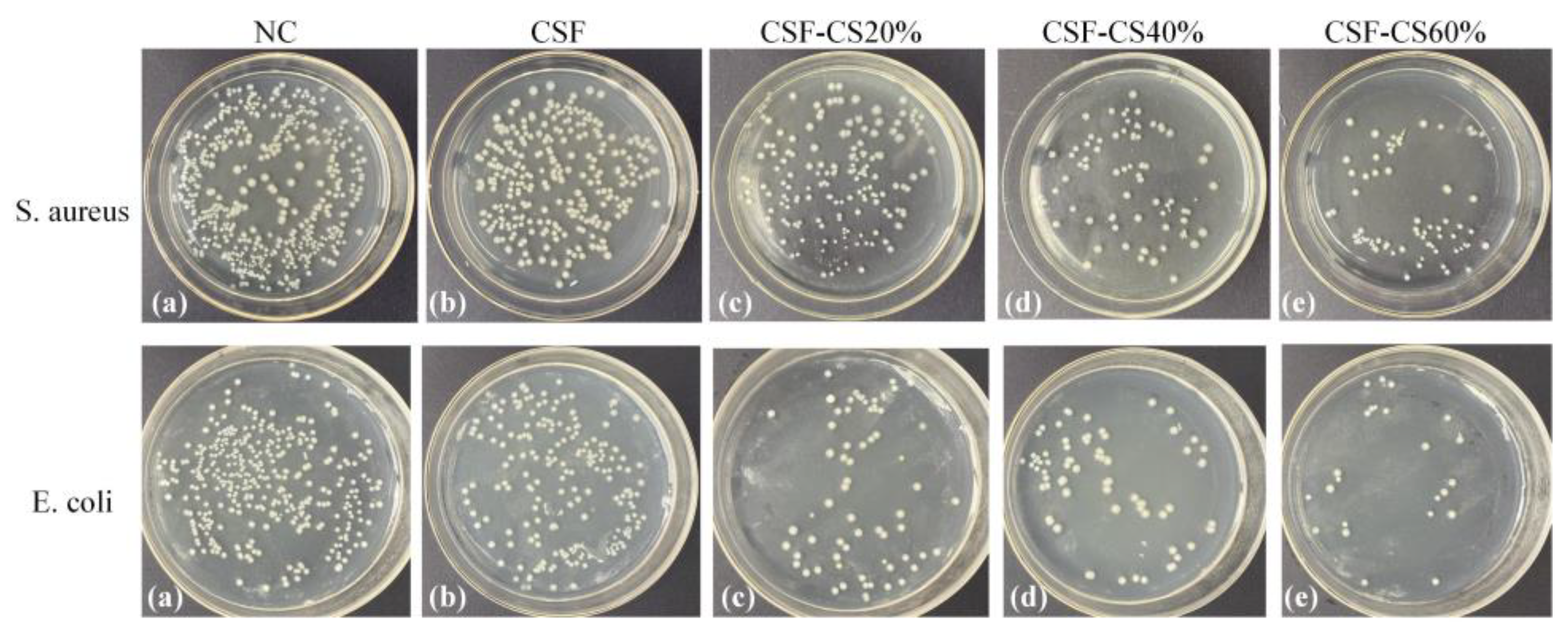 Materials 17 02986 g008