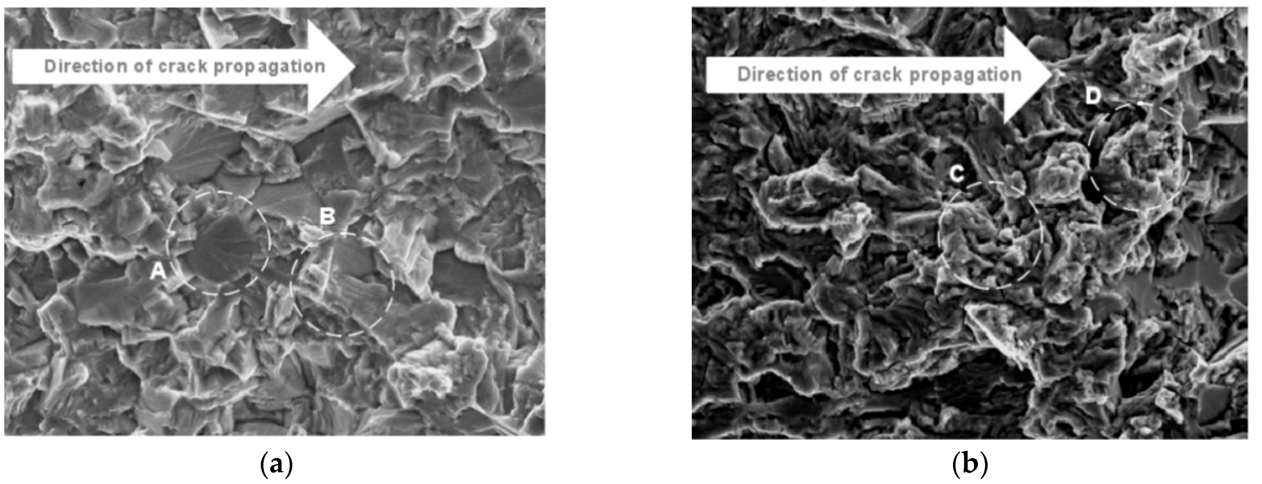 Materials 17 02987 g048 Materials 17 02987 g048