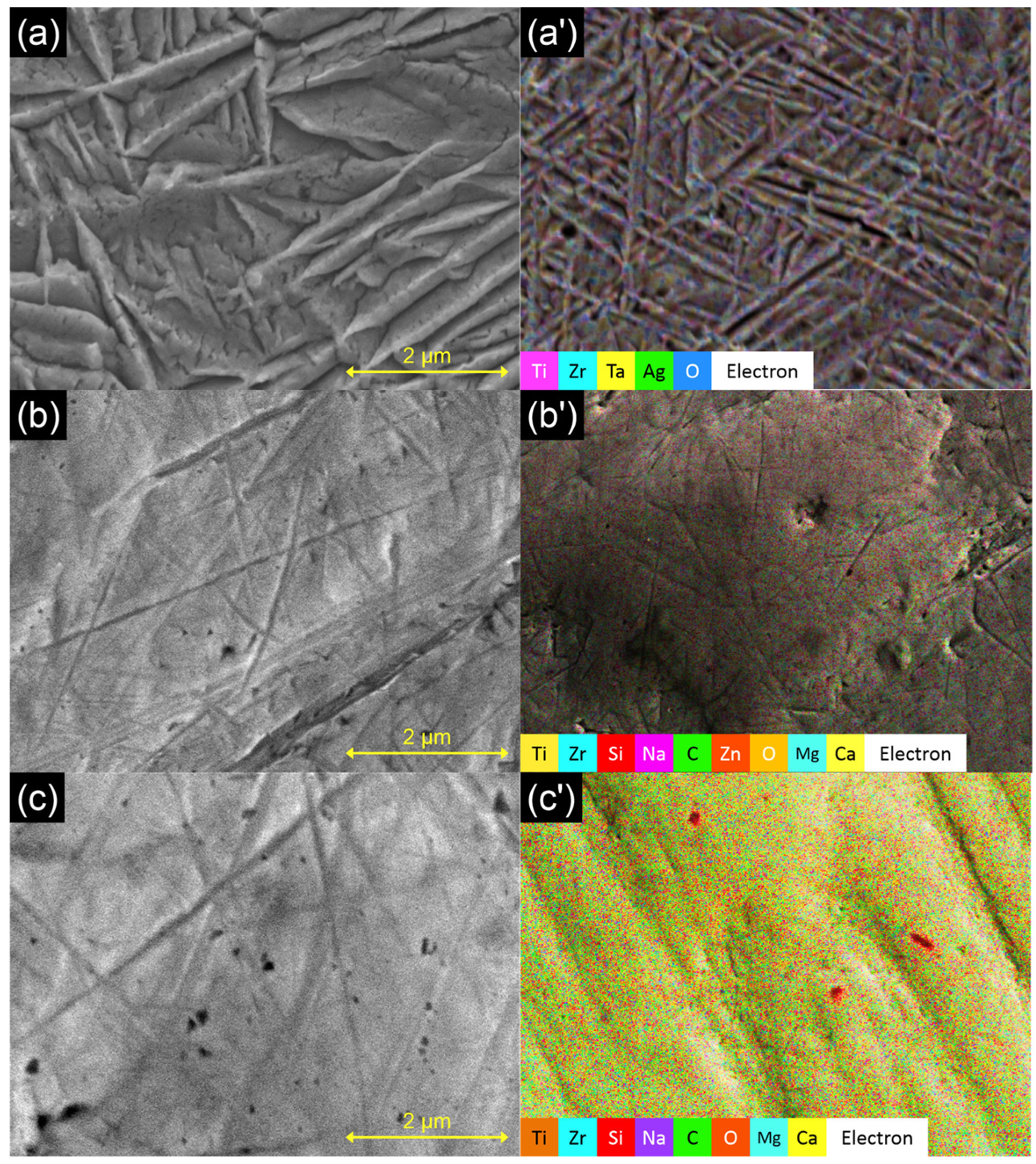 Materials 17 02989 g002