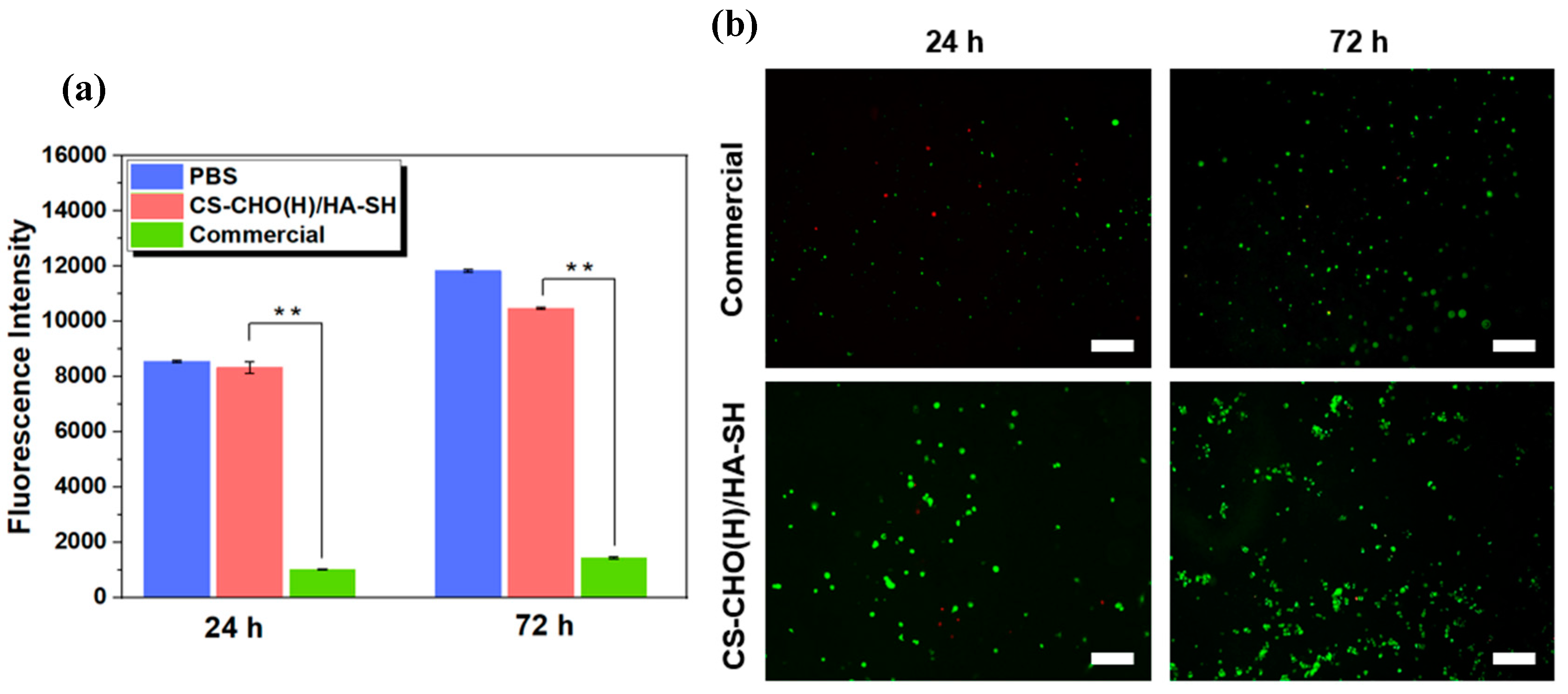 Materials 17 03003 g005