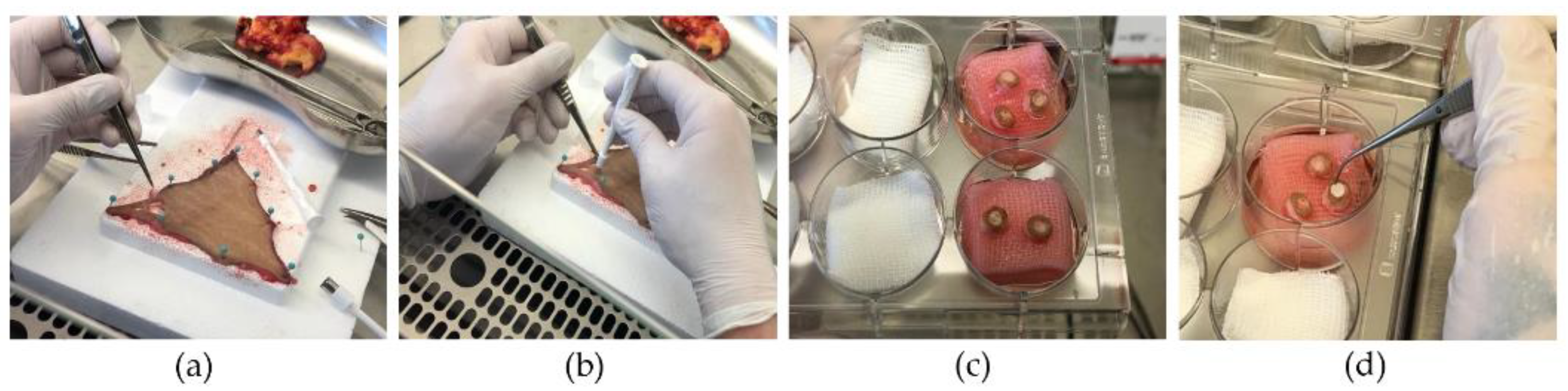 Materials 17 03004 g001