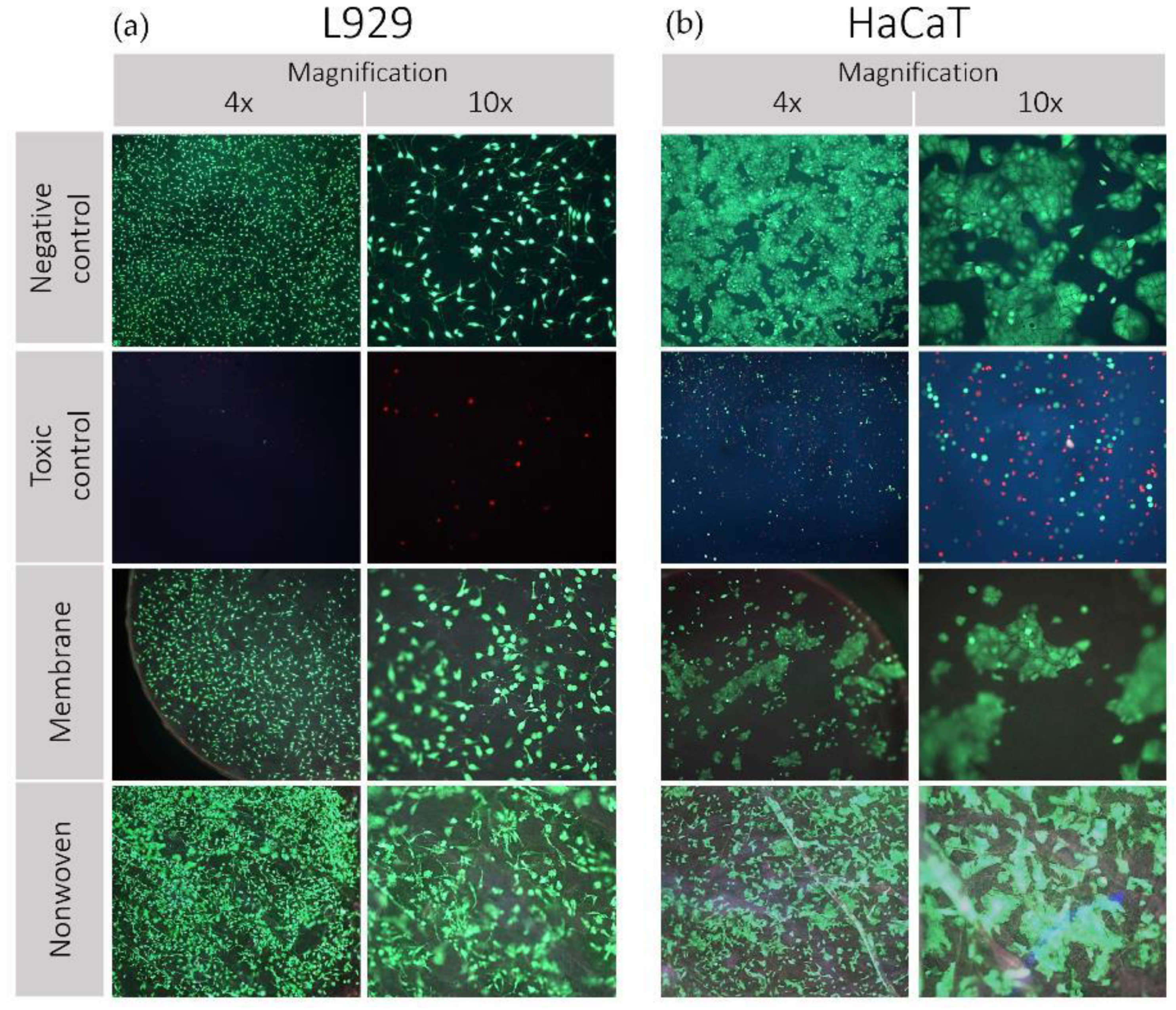 Materials 17 03004 g004