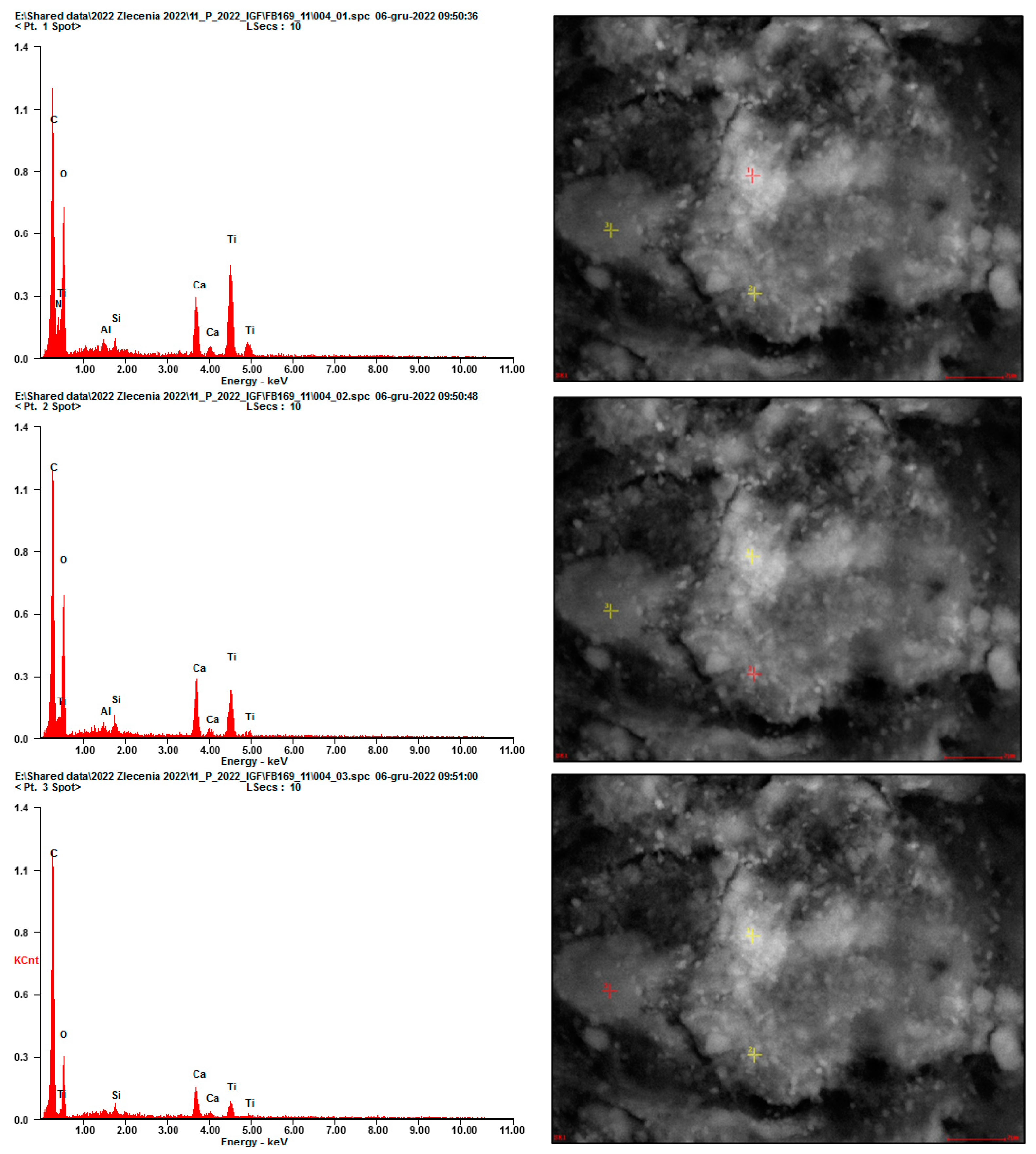 Materials 17 03022 g011