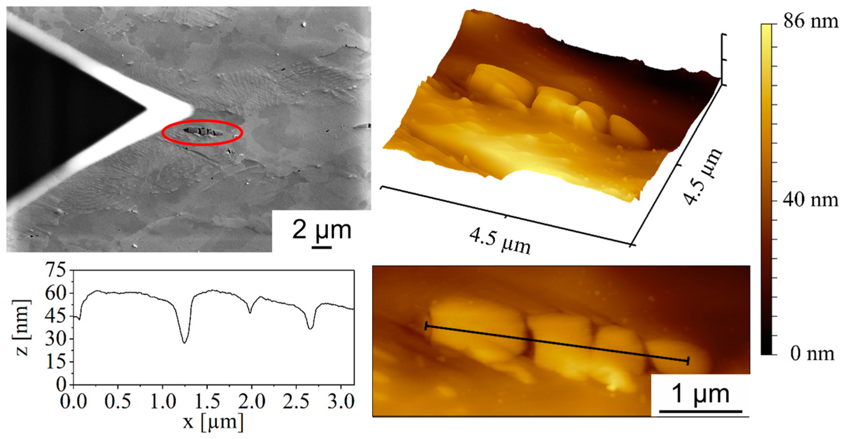 Materials 17 03023 g010