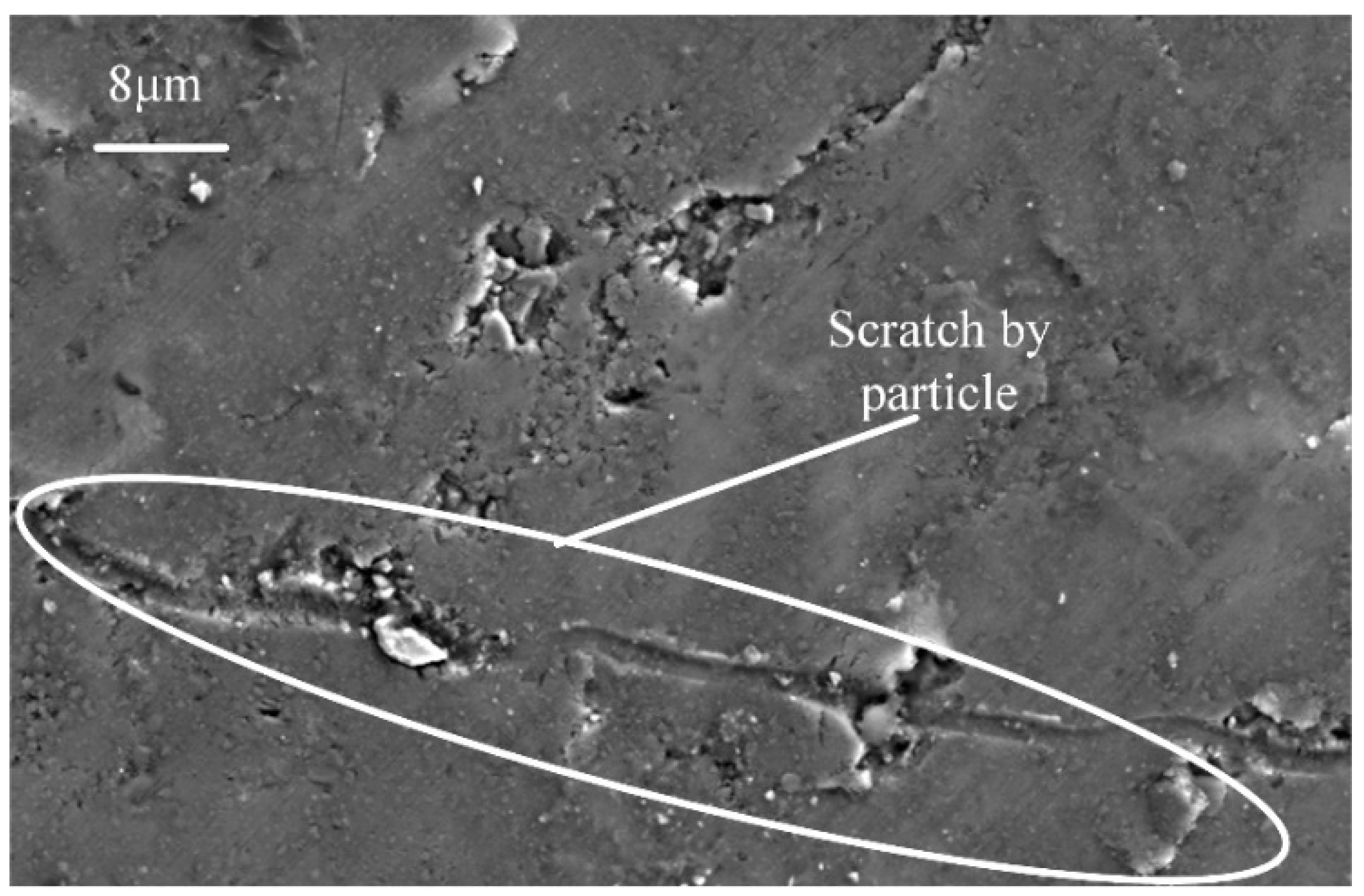 Materials 17 03024 g008
