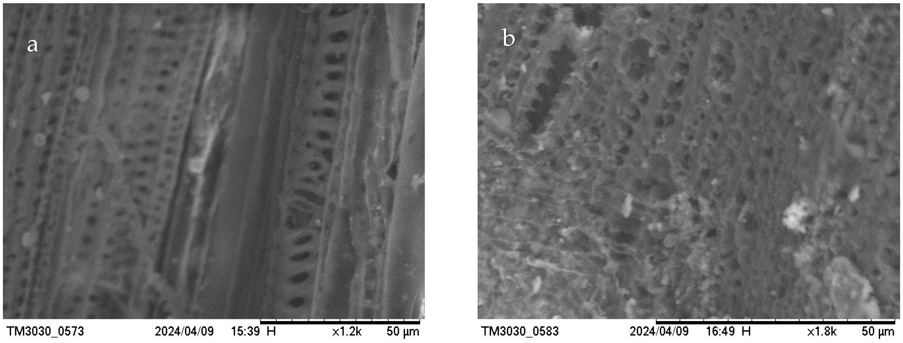 Materials 17 03030 g004