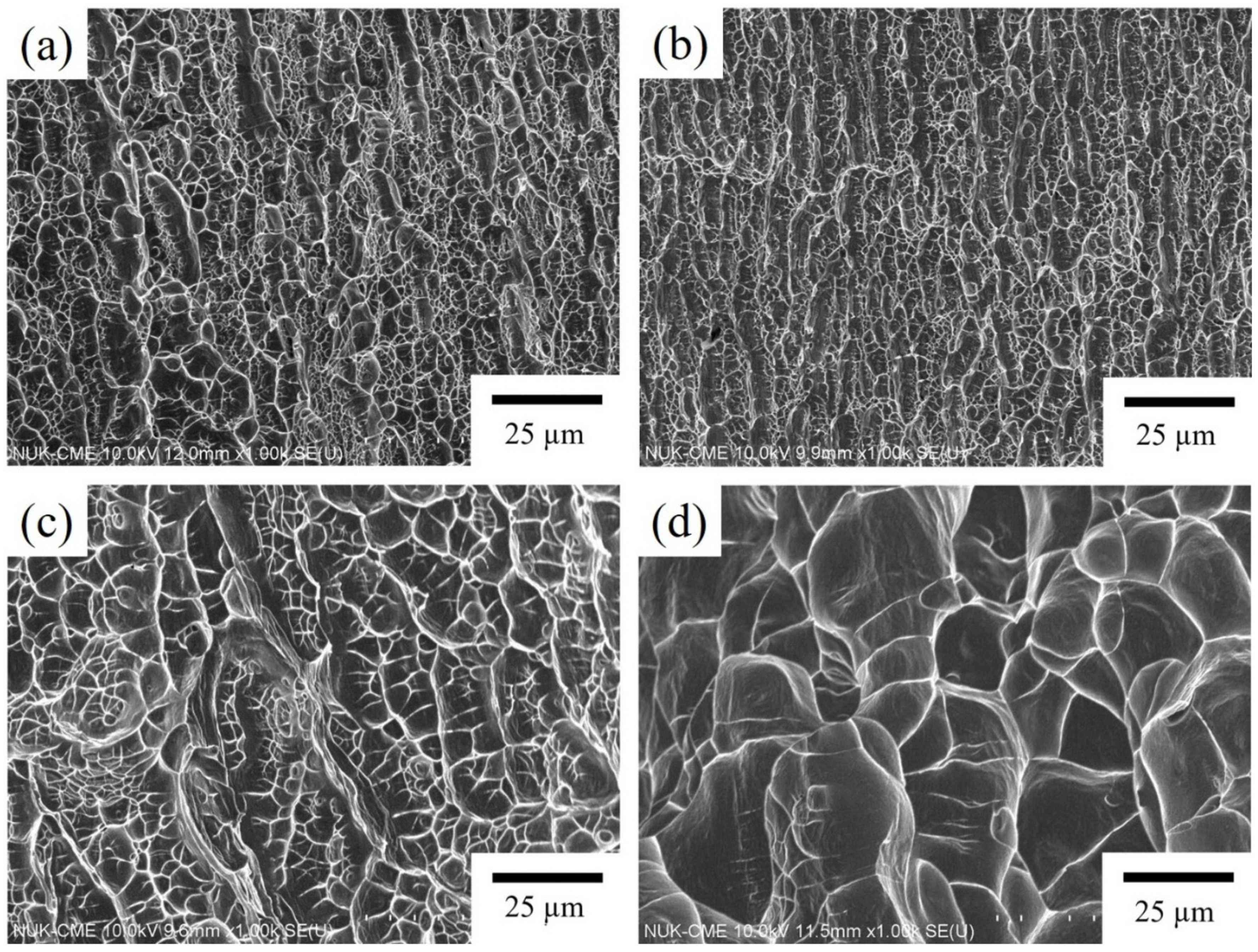 Materials 17 03062 g006