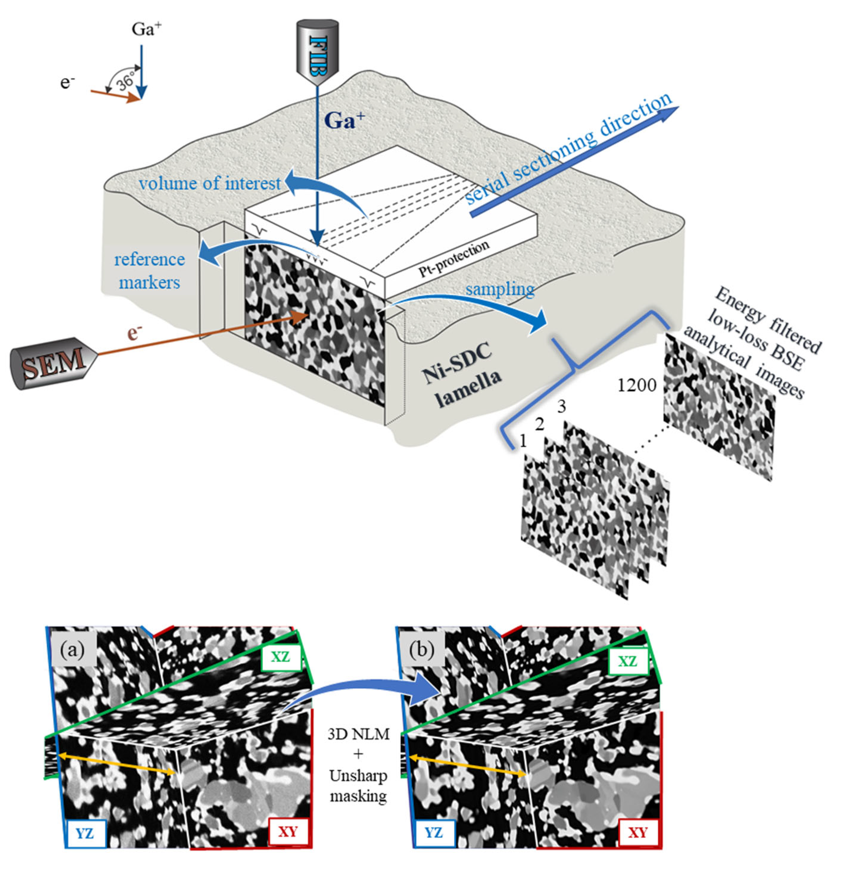 Materials 17 03068 g001