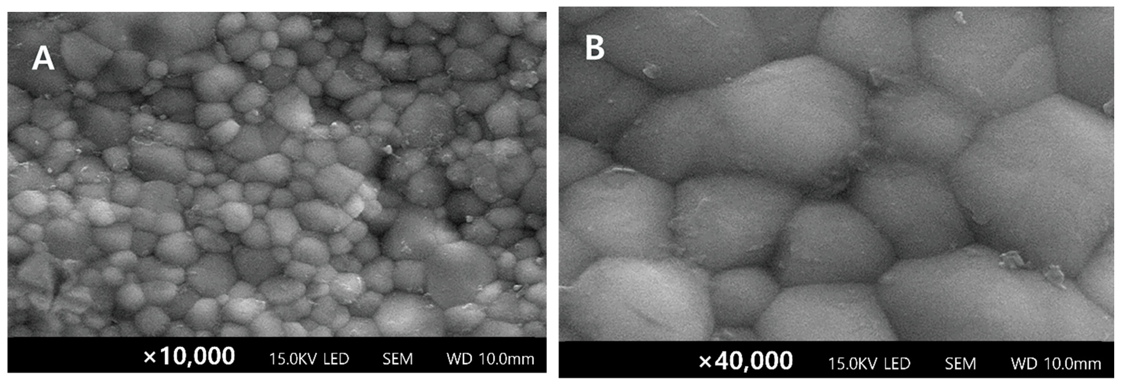 Materials 17 03096 g004a