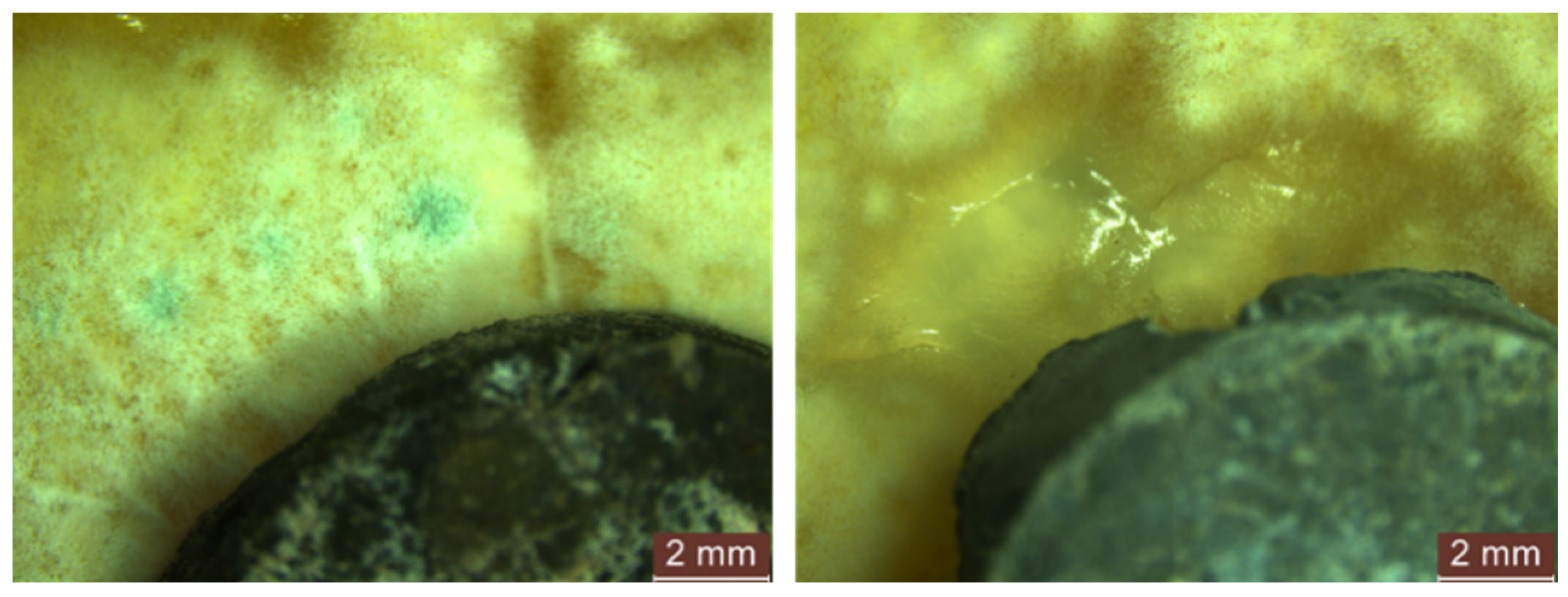 Materials 17 03098 g018