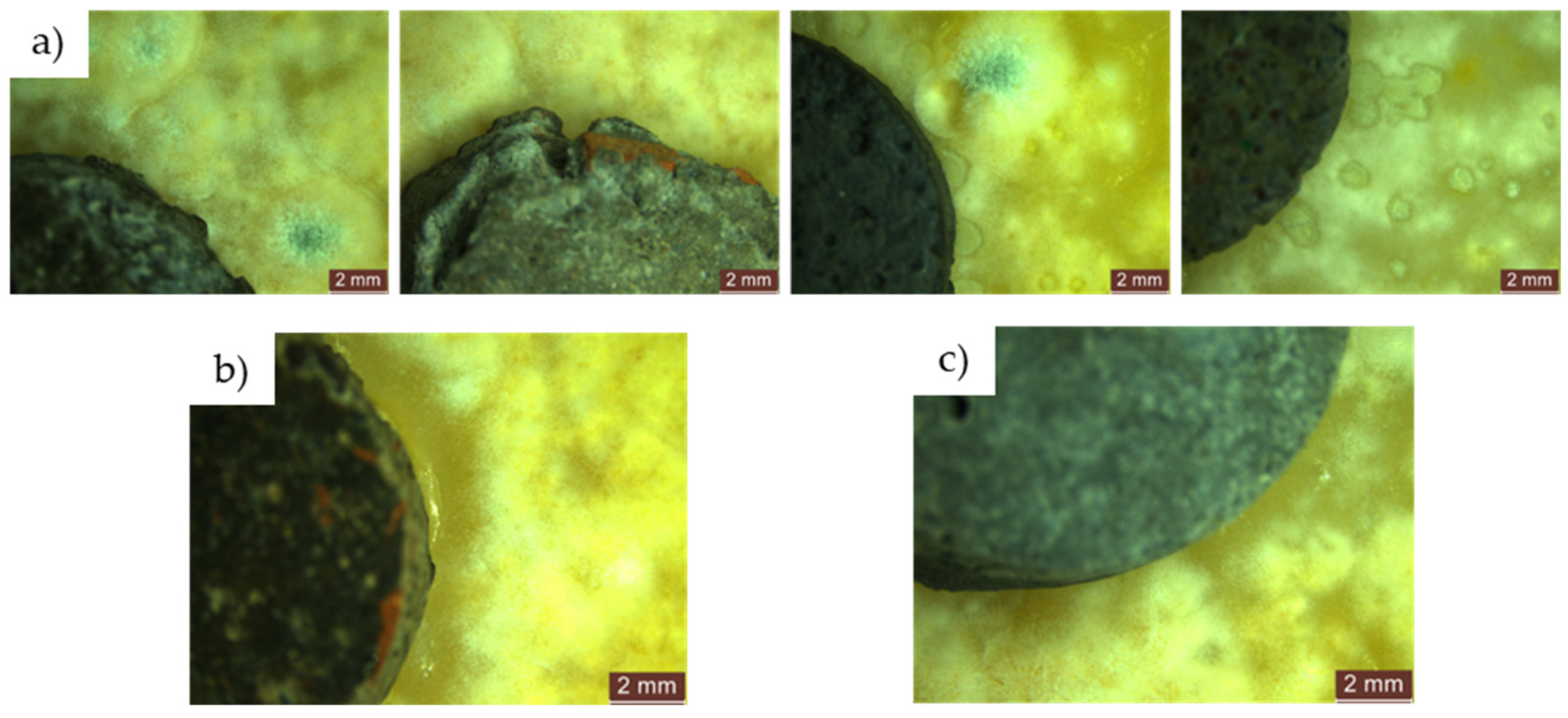 Materials 17 03098 g019