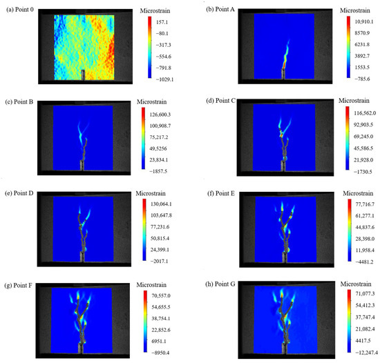 Experimental Study on the Flexural Performance of Steel