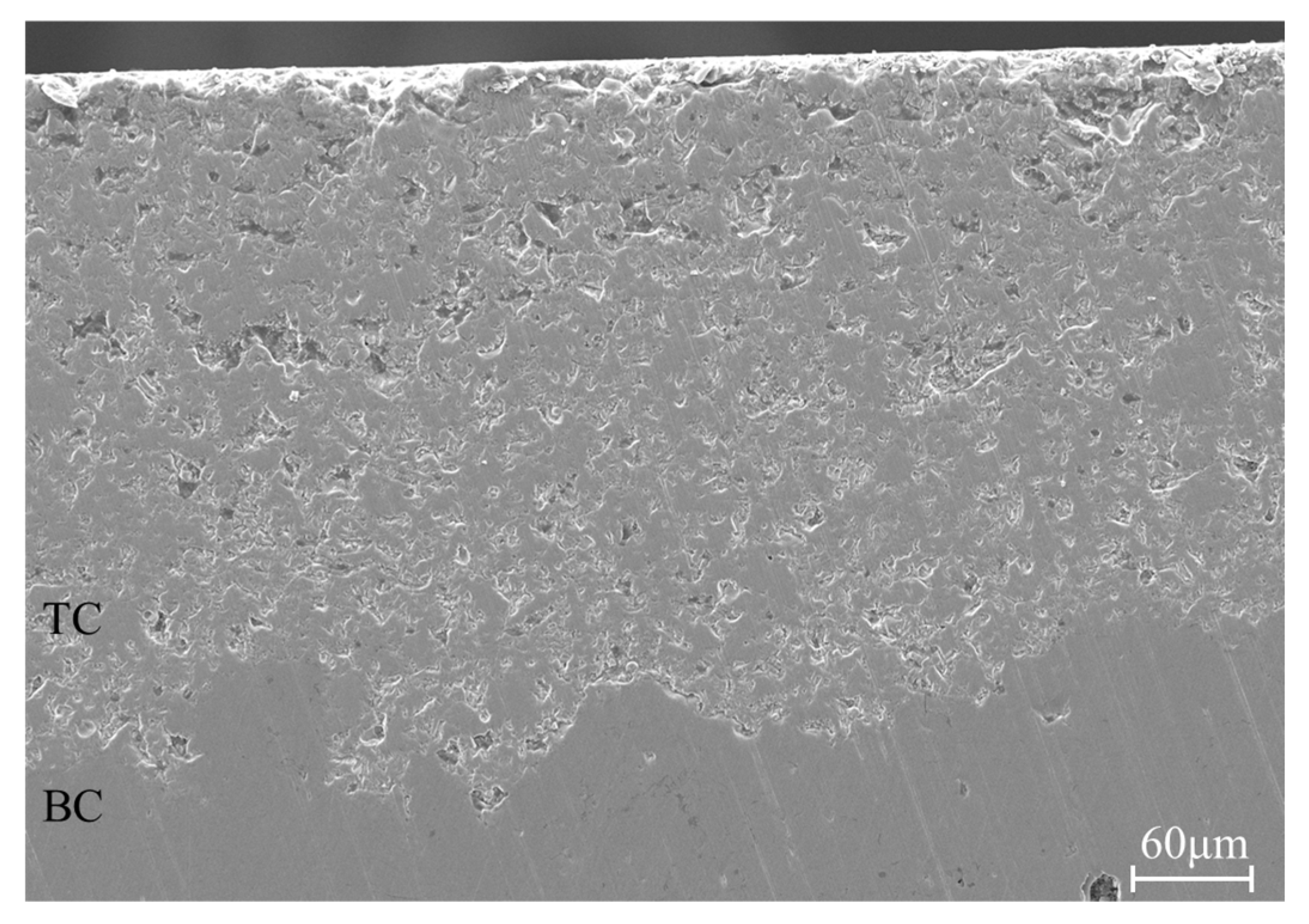 Materials 17 03102 g004