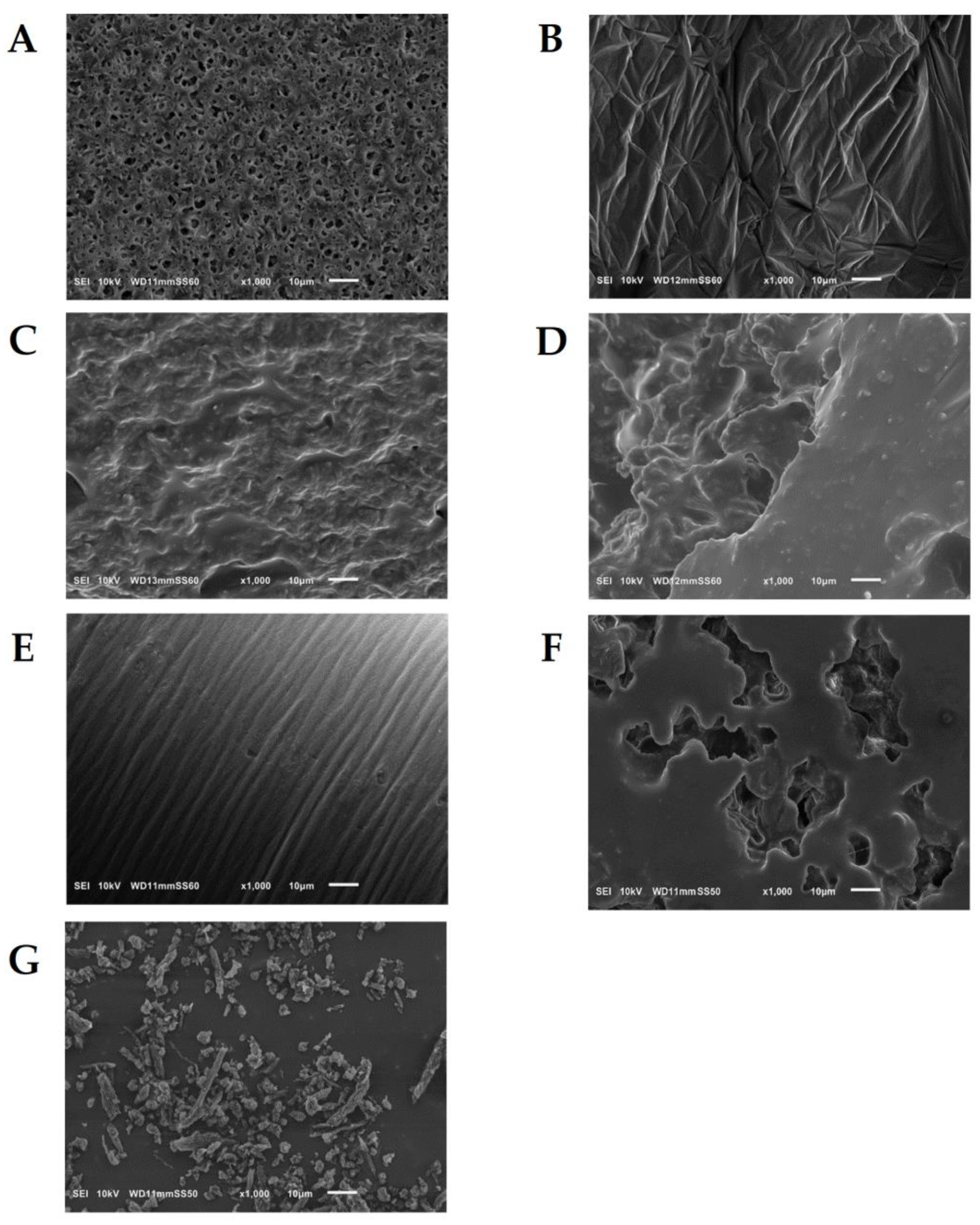 Materials 17 03105 g002