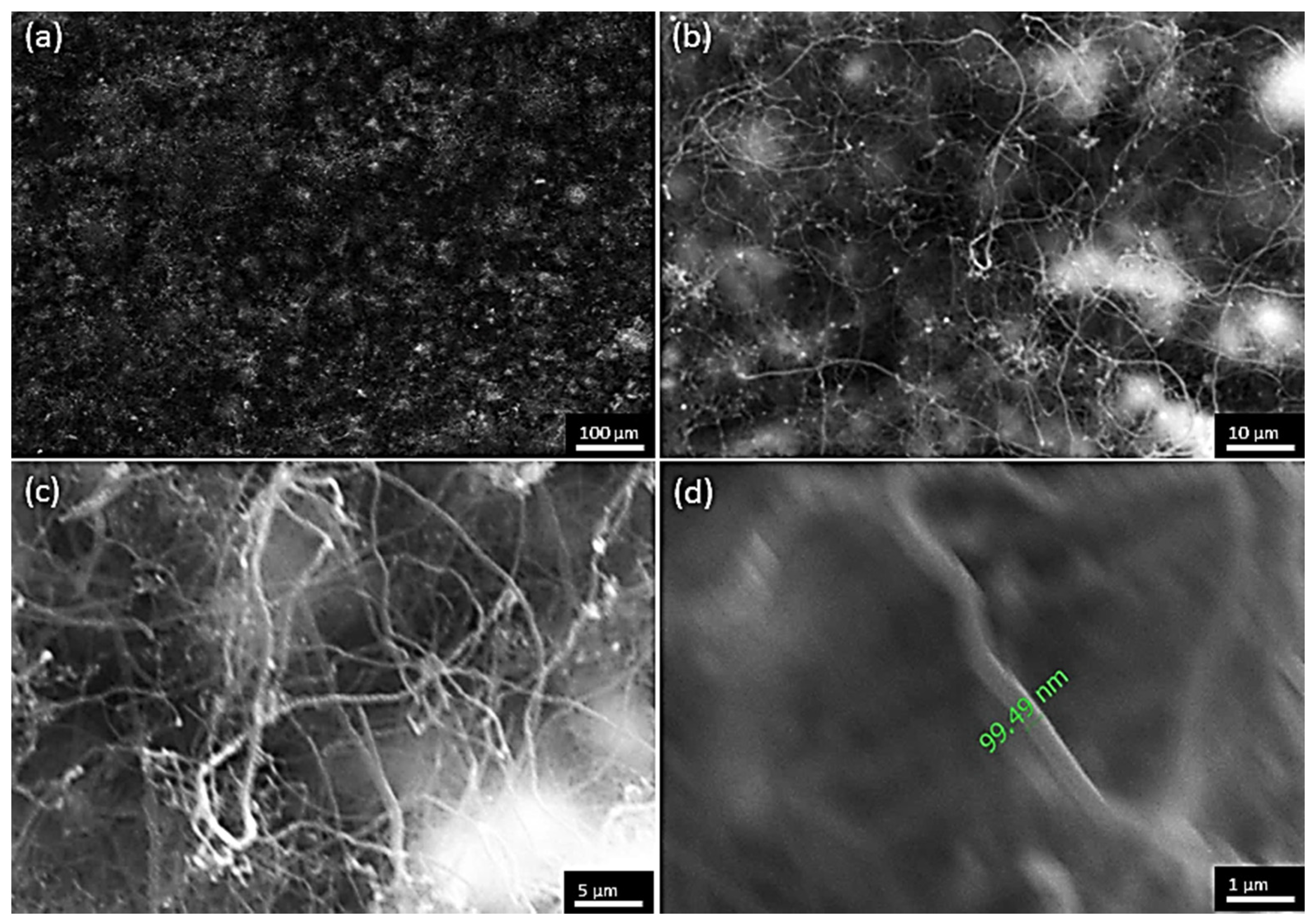 Materials 17 03144 g014