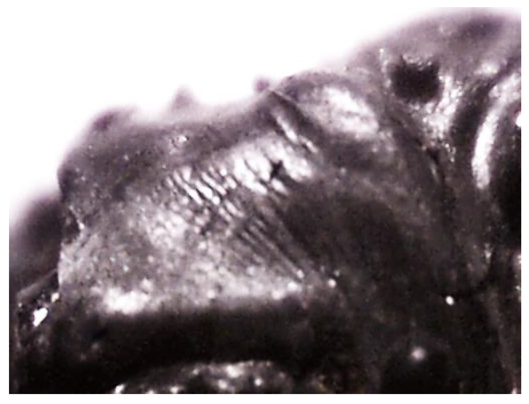 Materials 17 03163 g002