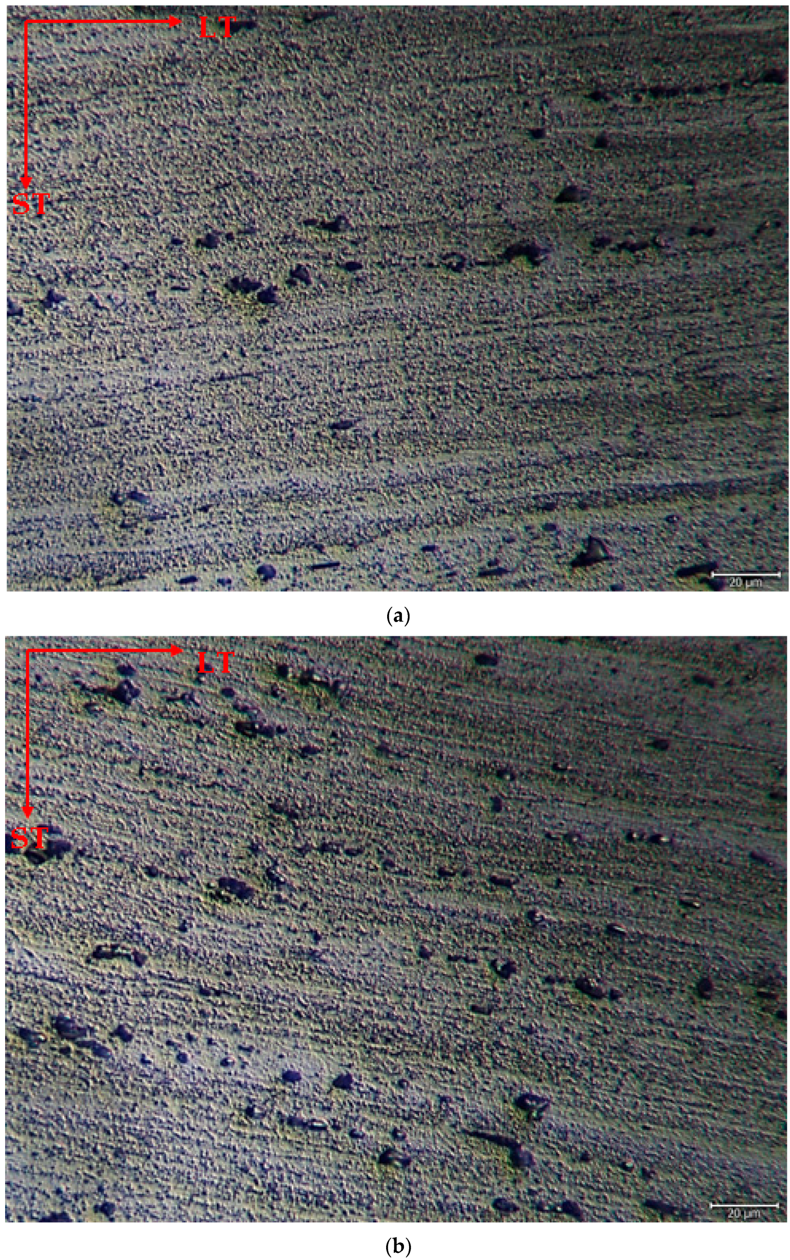 Materials 17 03164 g002a