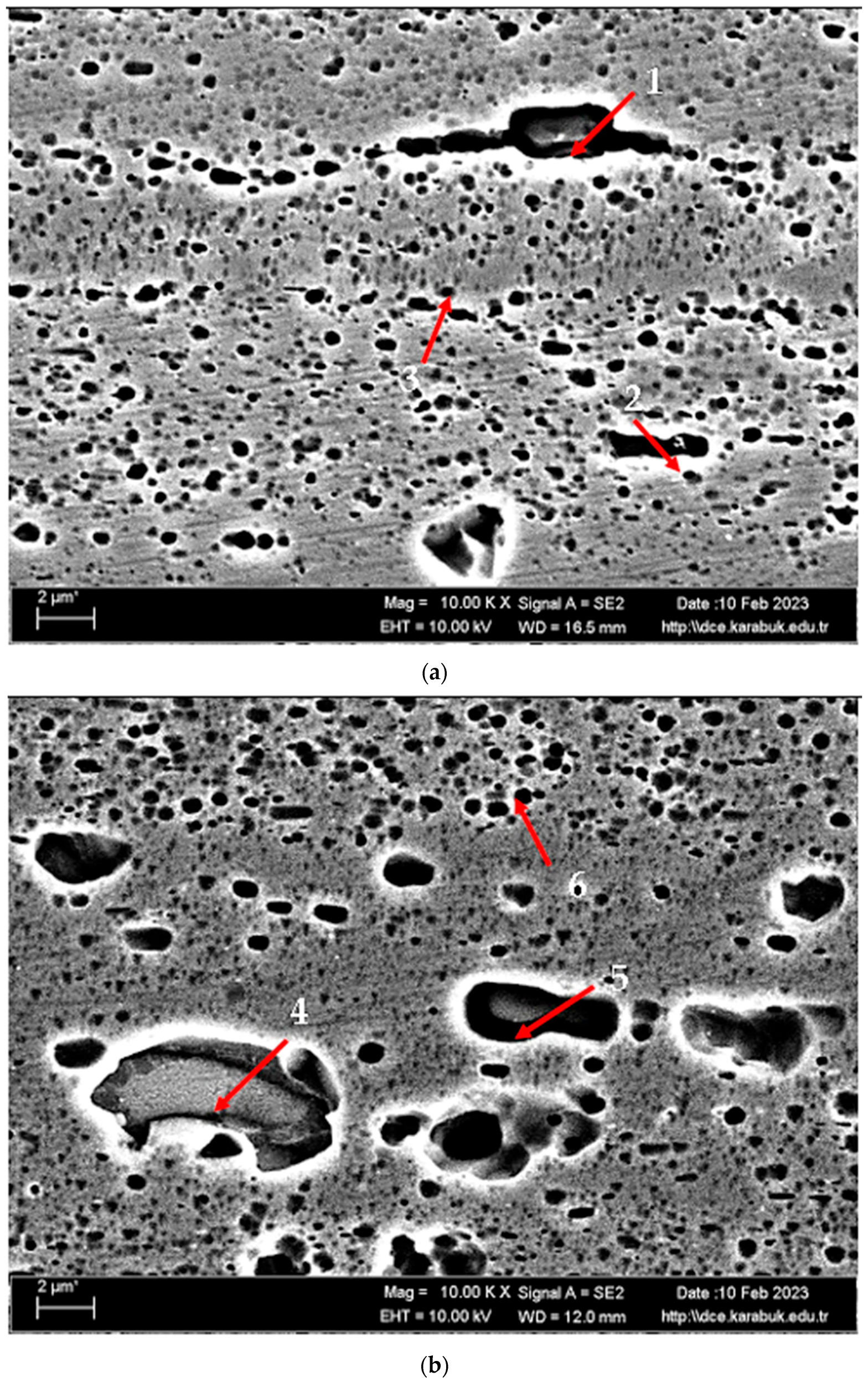 Materials 17 03164 g003a