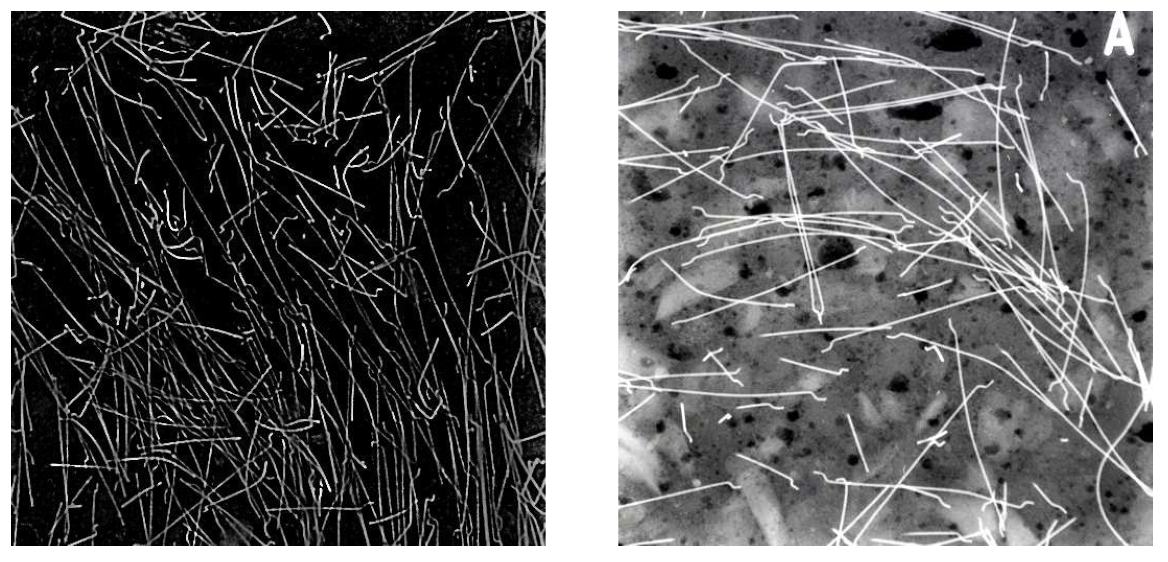 Materials 17 03177 g010