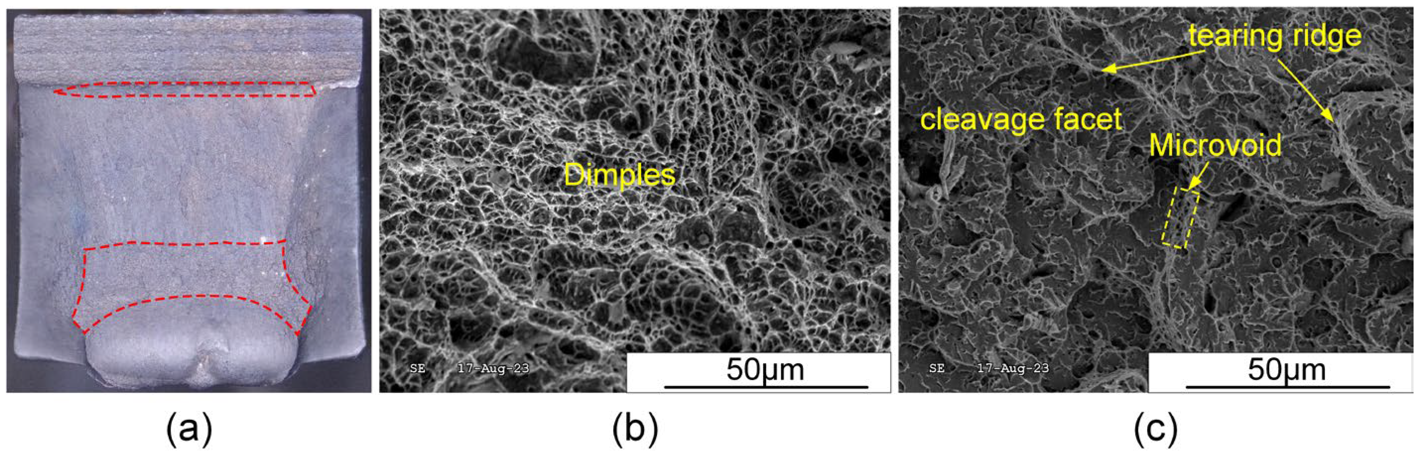 Materials 17 03178 g019