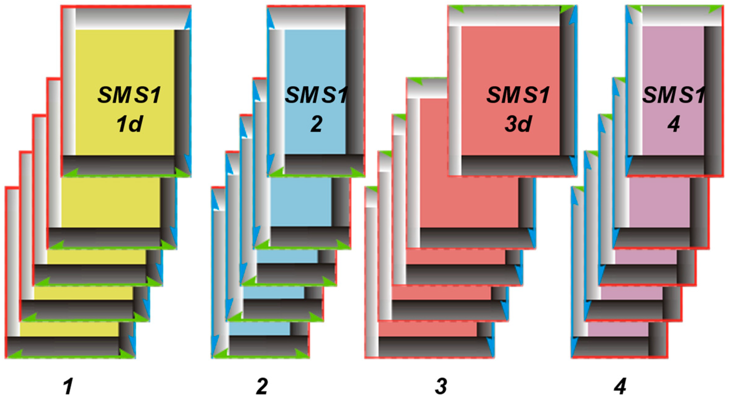Materials 17 03229 g005
