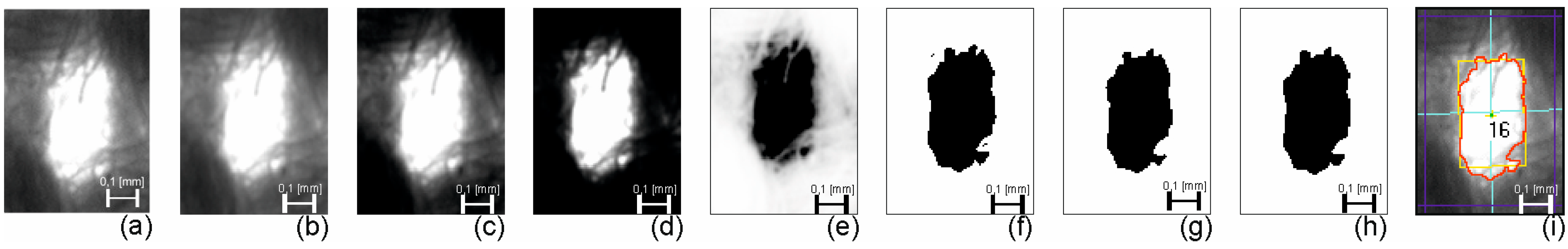 Materials 17 03229 g009