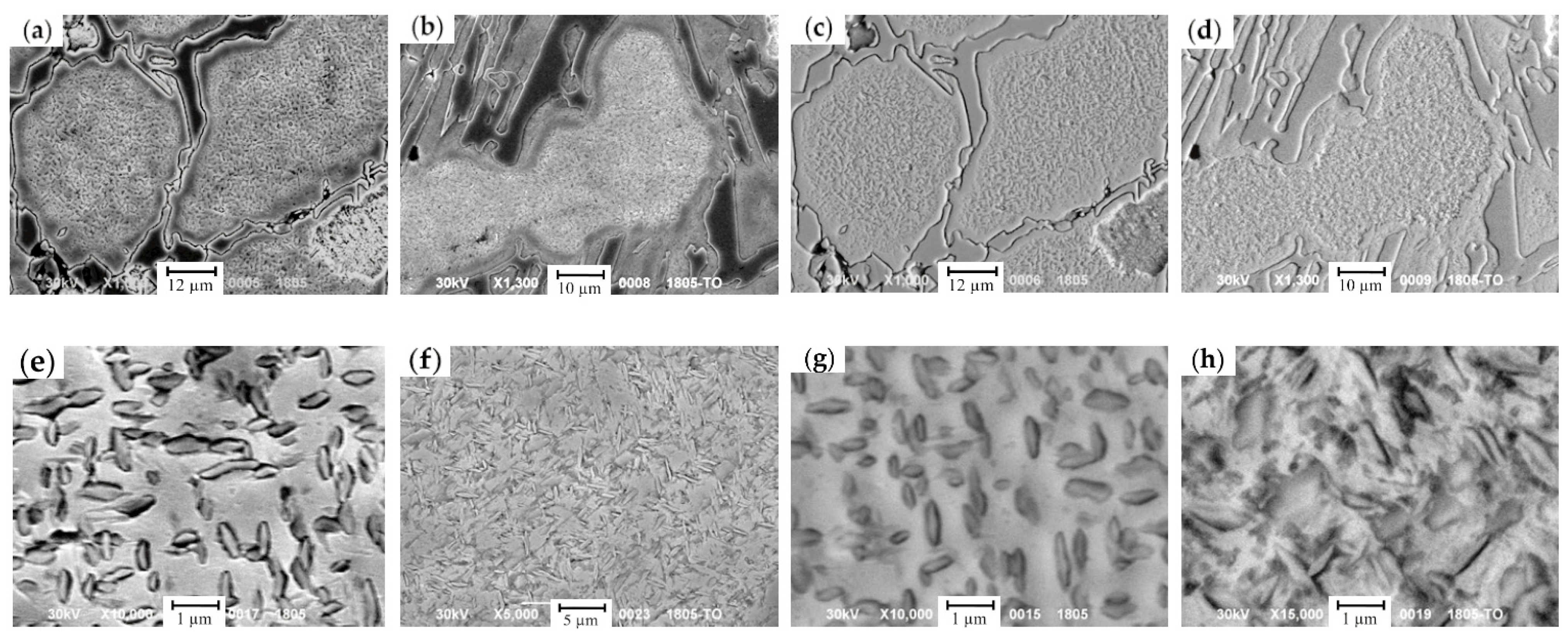 Materials 17 03231 g014